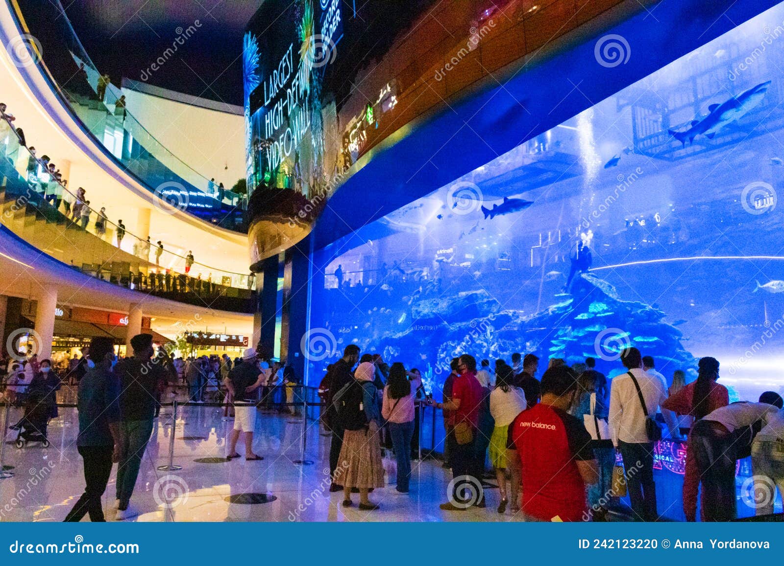 dubai mall aquarium tunnel