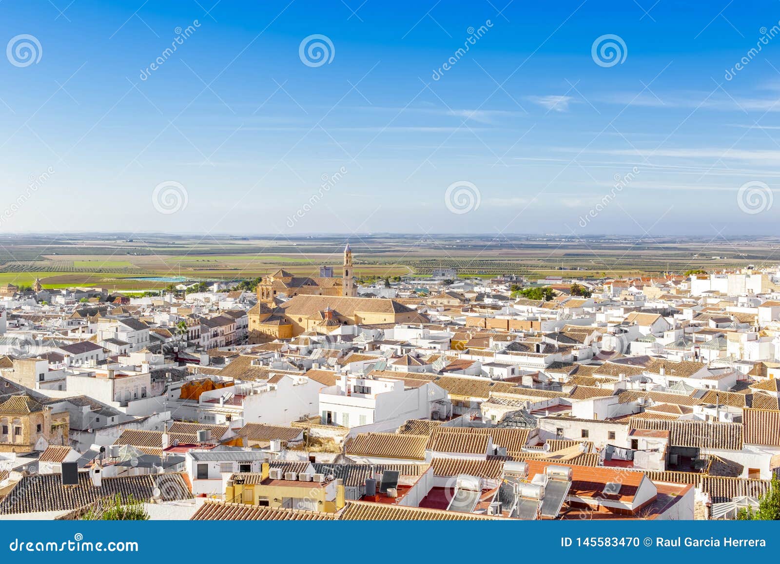 view of the ducal town of osuna. declared a historic-artistic site. province of seville. southern spain.