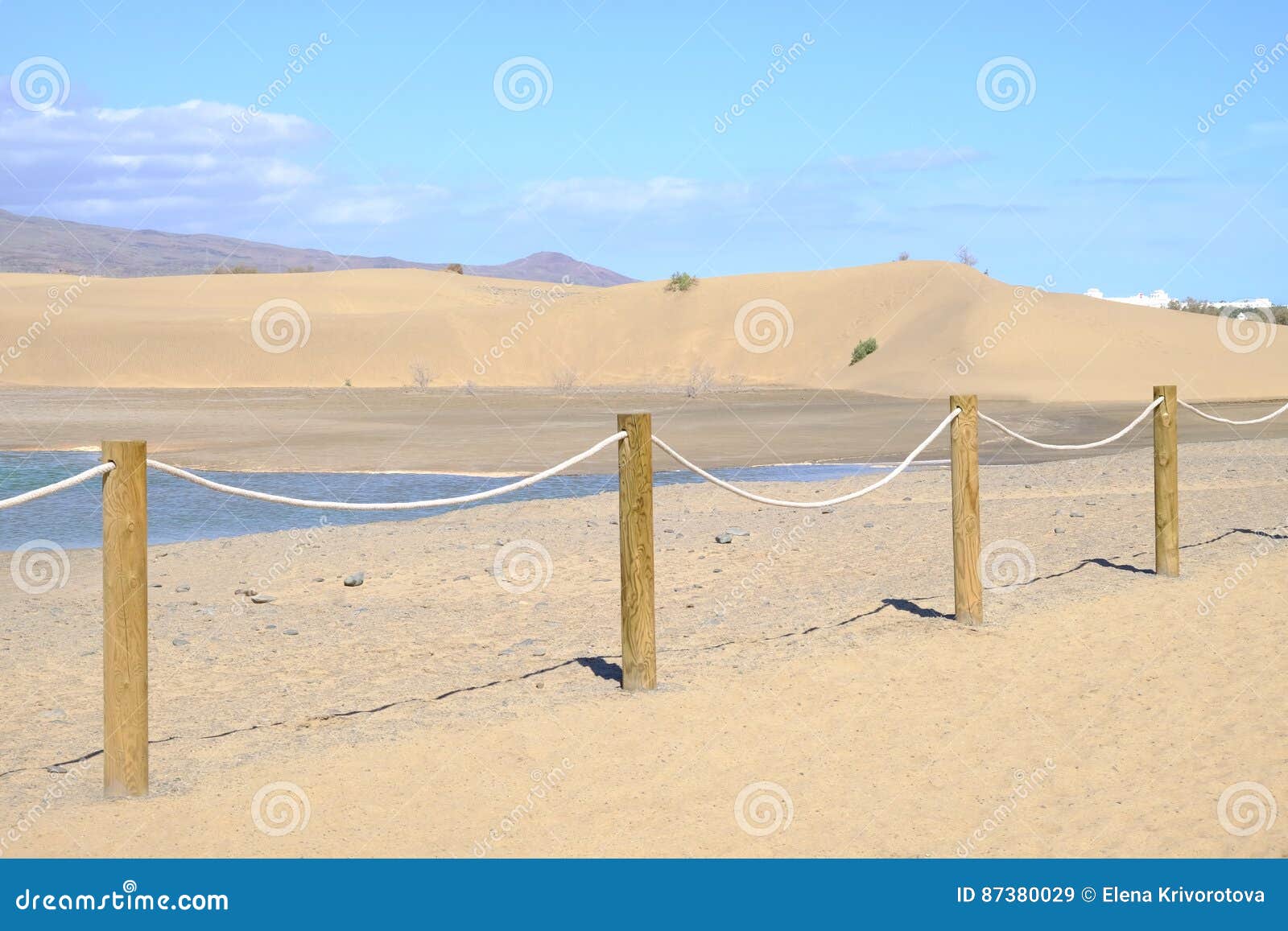 view on the dunes of maspalomas, lagoon and the nature reserve charca de maspalomas on the canary island gran canaria, spain.