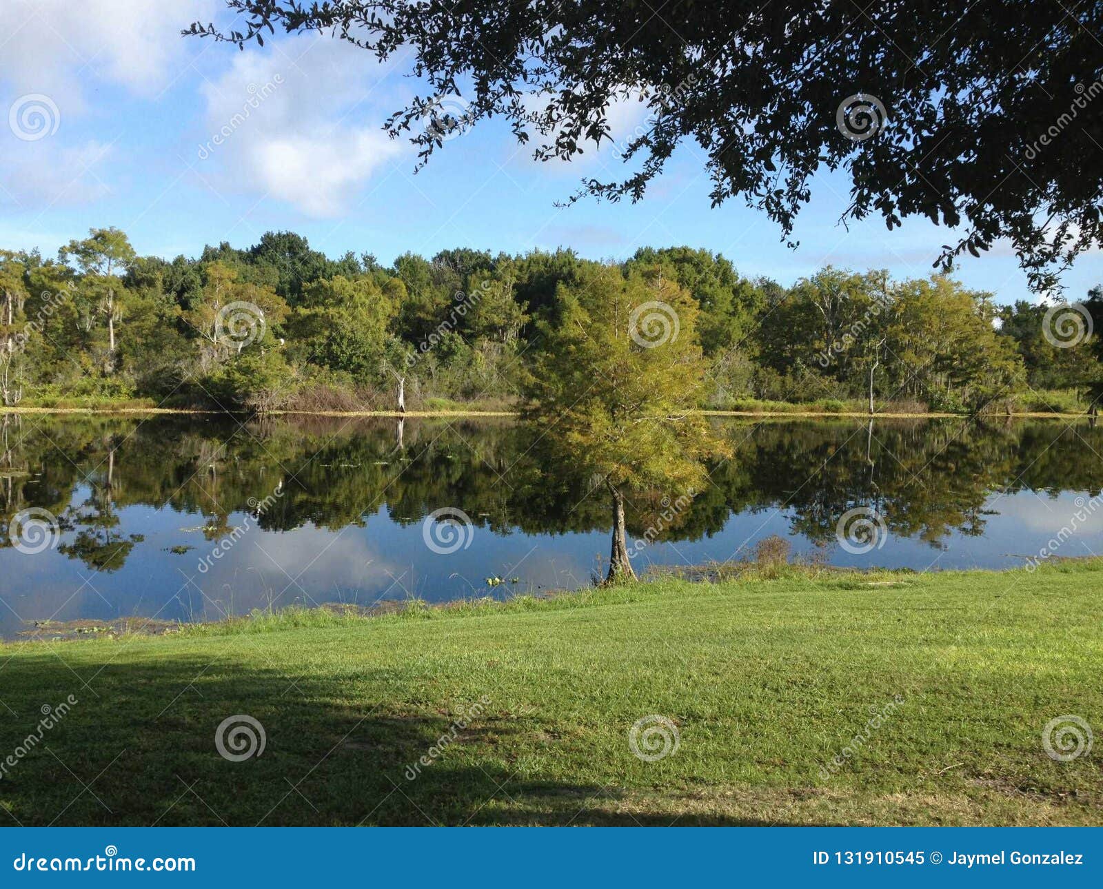 J. Blanchard Park in Orlando Stock Image Image of view, blanchard