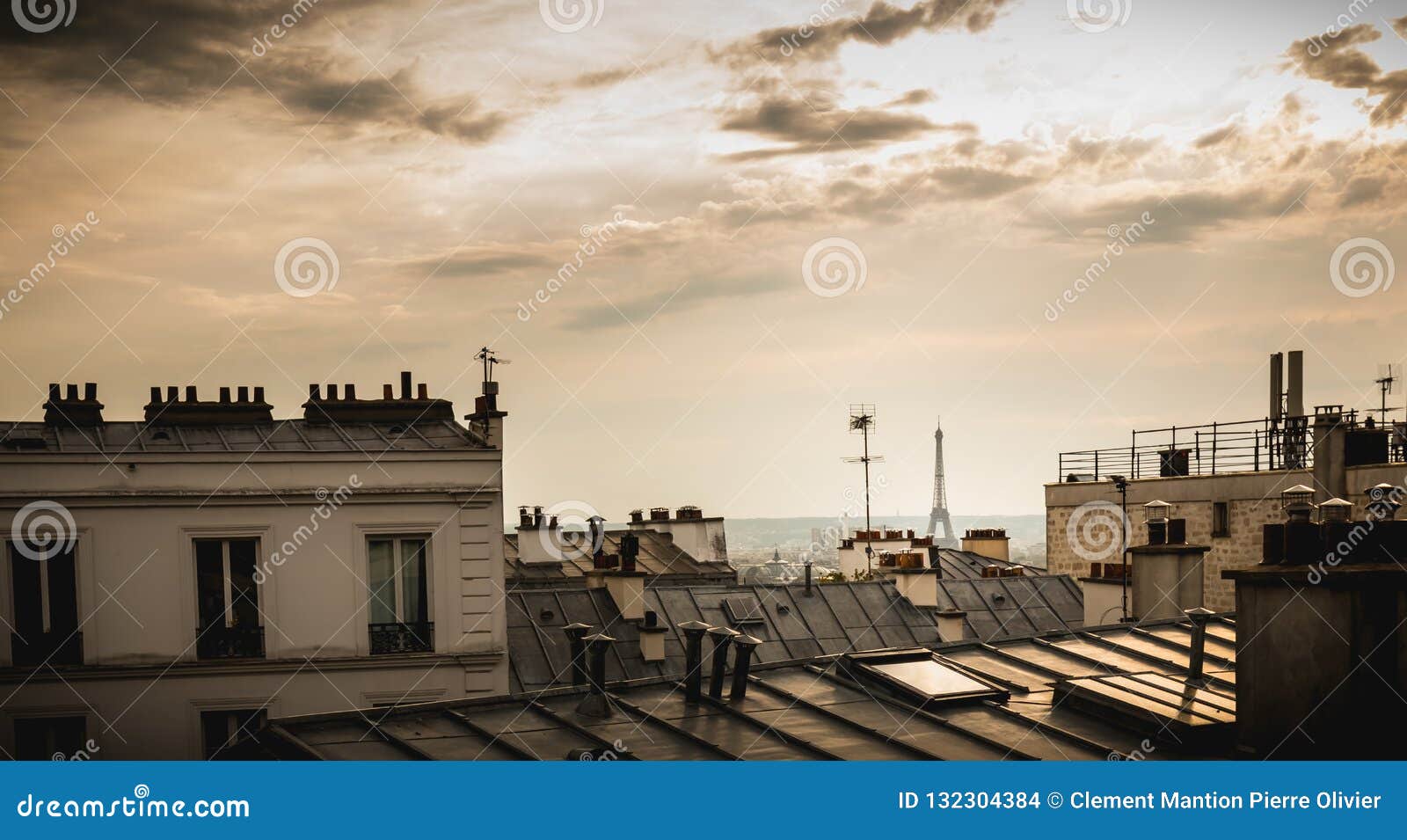 view of the eiffel tower above the rooftops of paris