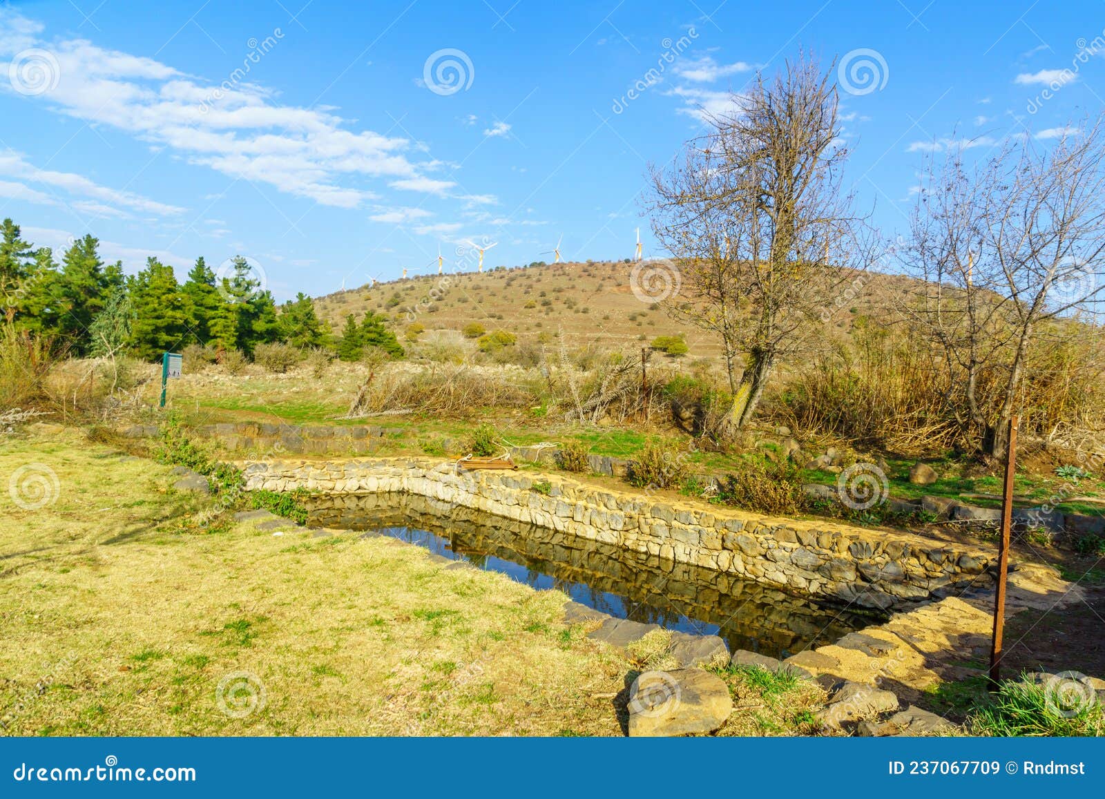 ein turbina turbine spring, circassians pool, in the golan height