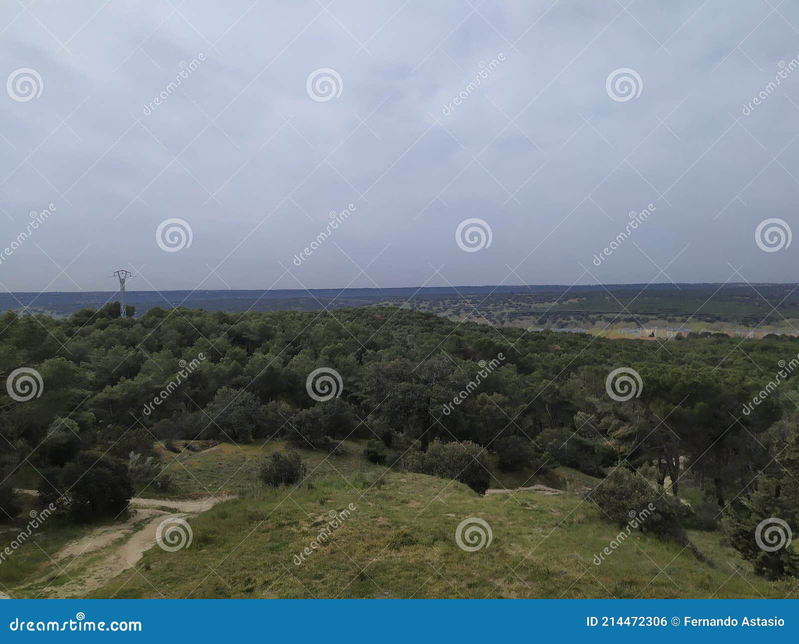 view from the el pardo forest of the city of madrid, in spain.