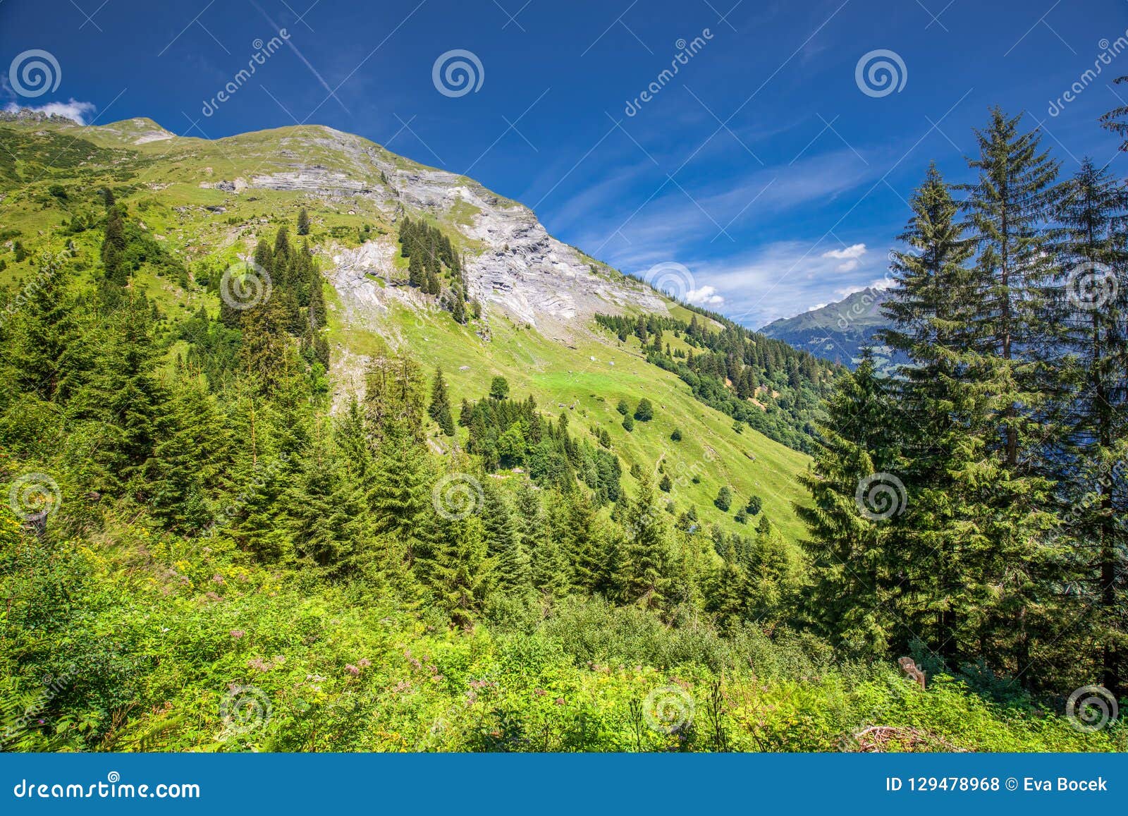 view of elm village and swiss mountains - piz segnas, piz sardona, laaxer stockli from ampachli, glarus, switzerland, europe