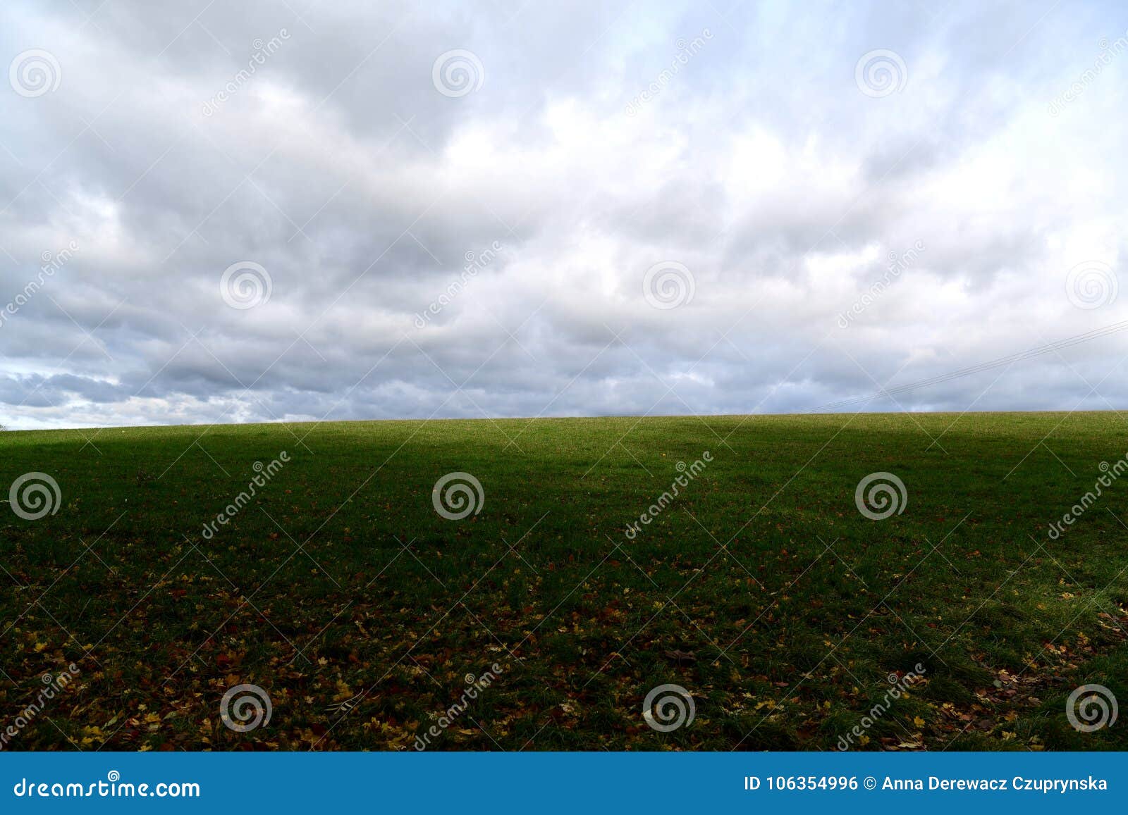 endless sky licenses endless sky licenses