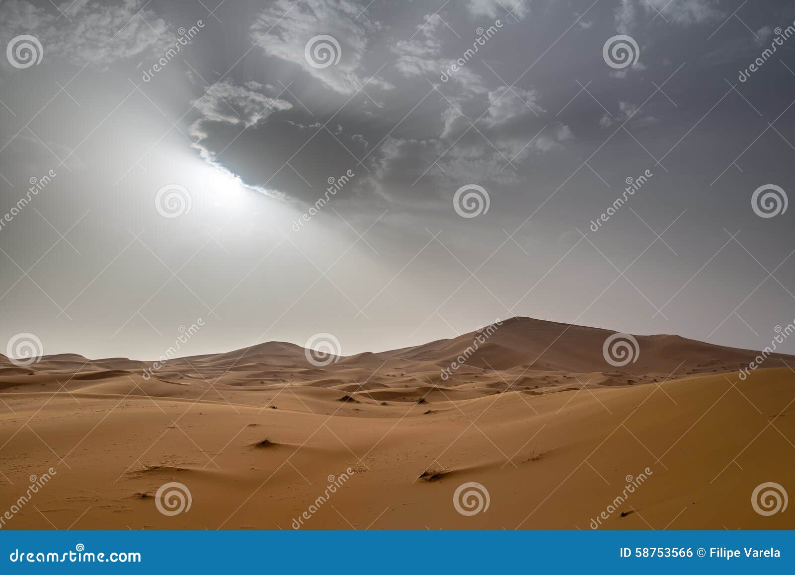 view of erg chebbi dunes in morroco- sahara desert