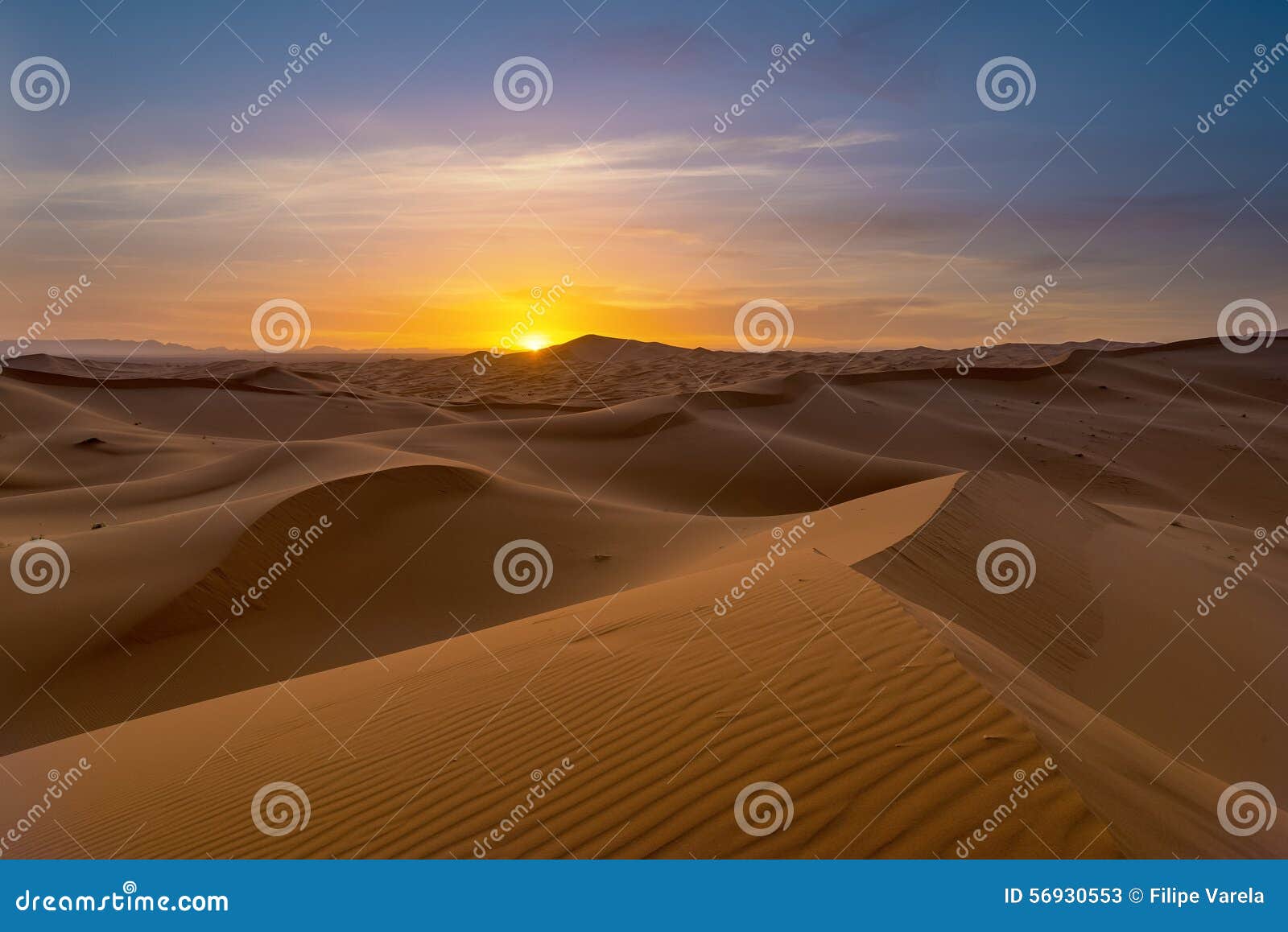 view of erg chebbi dunes - sahara desert