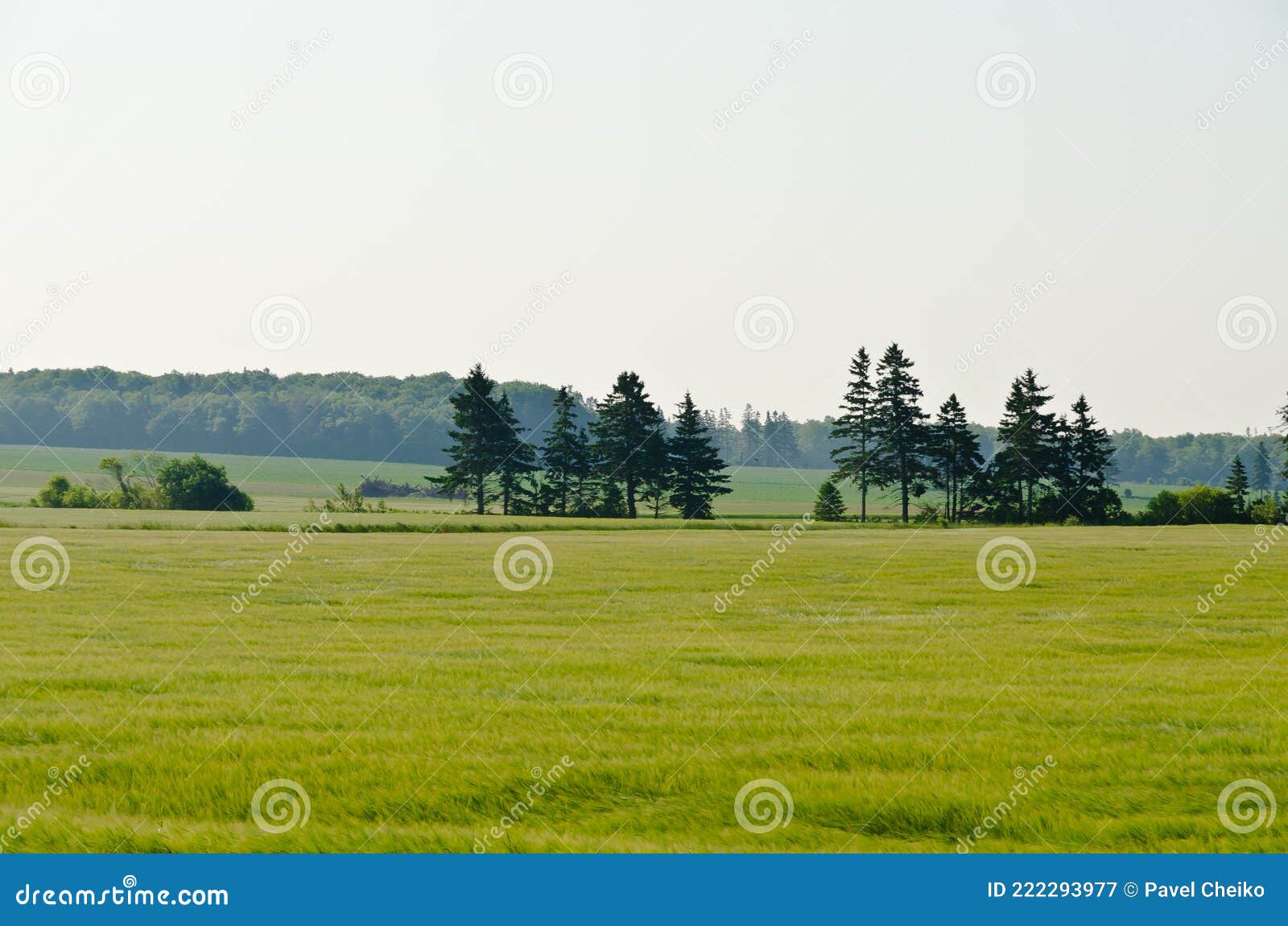 View of fields and forests stock image. Image of earth 222293977