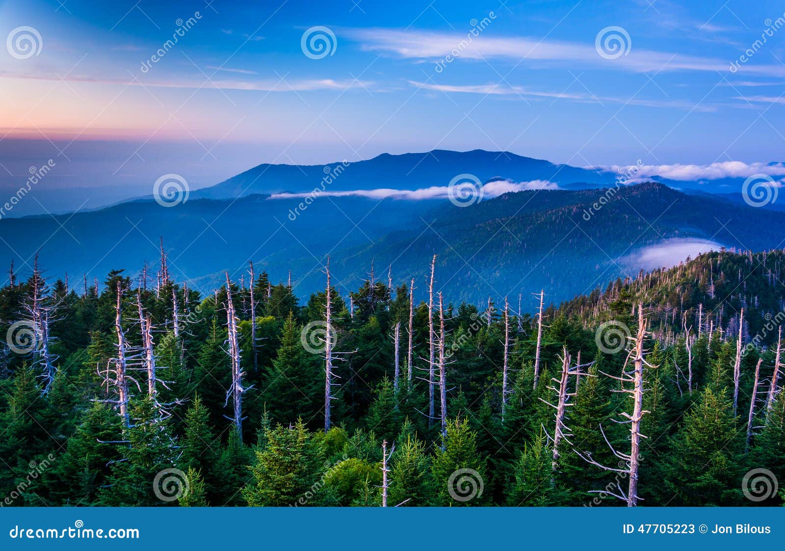 view of fog in the smokies from clingman's dome observation towe