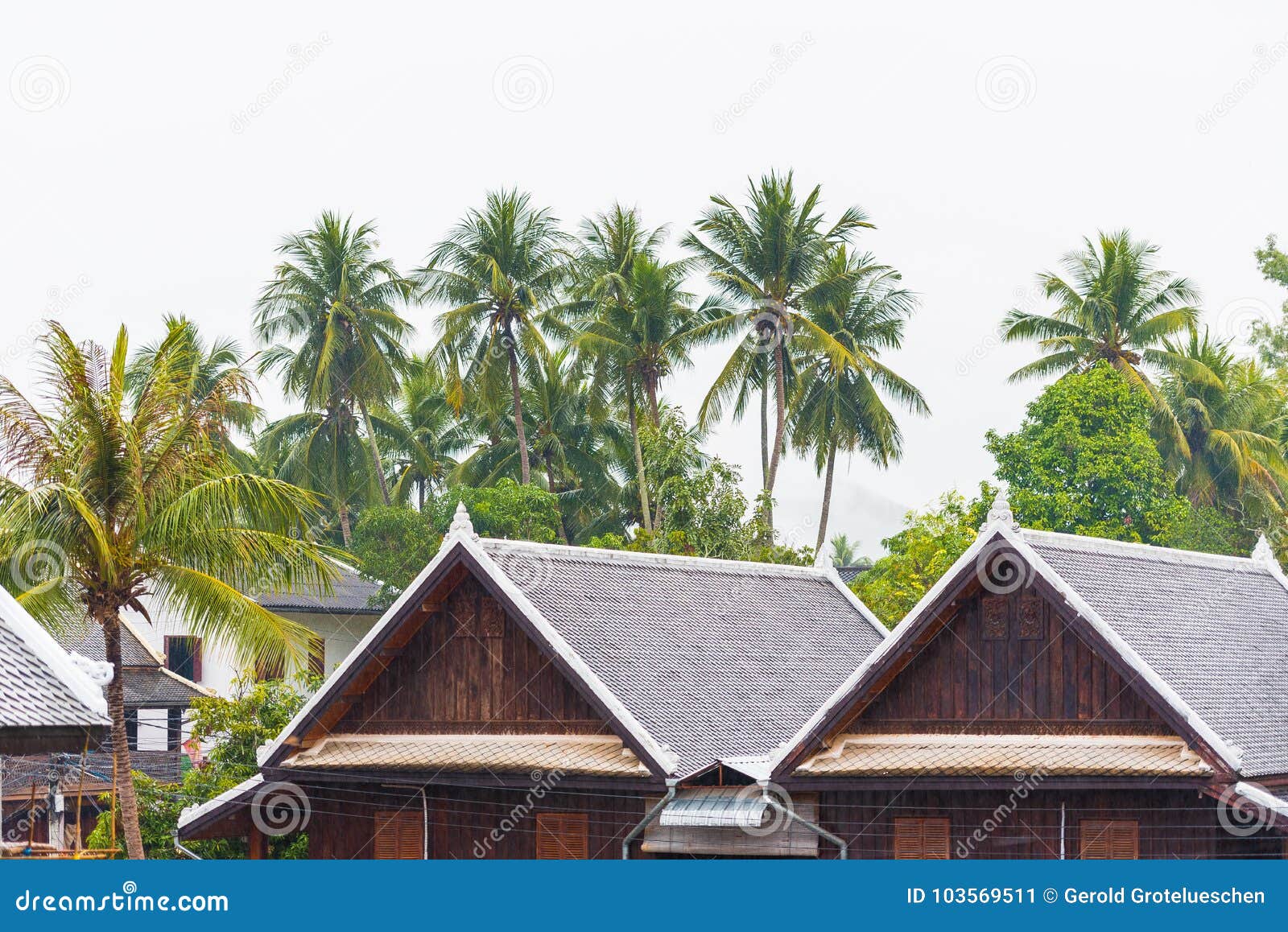 view of the foggy landscape in louangphabang, laos. copy space for text.