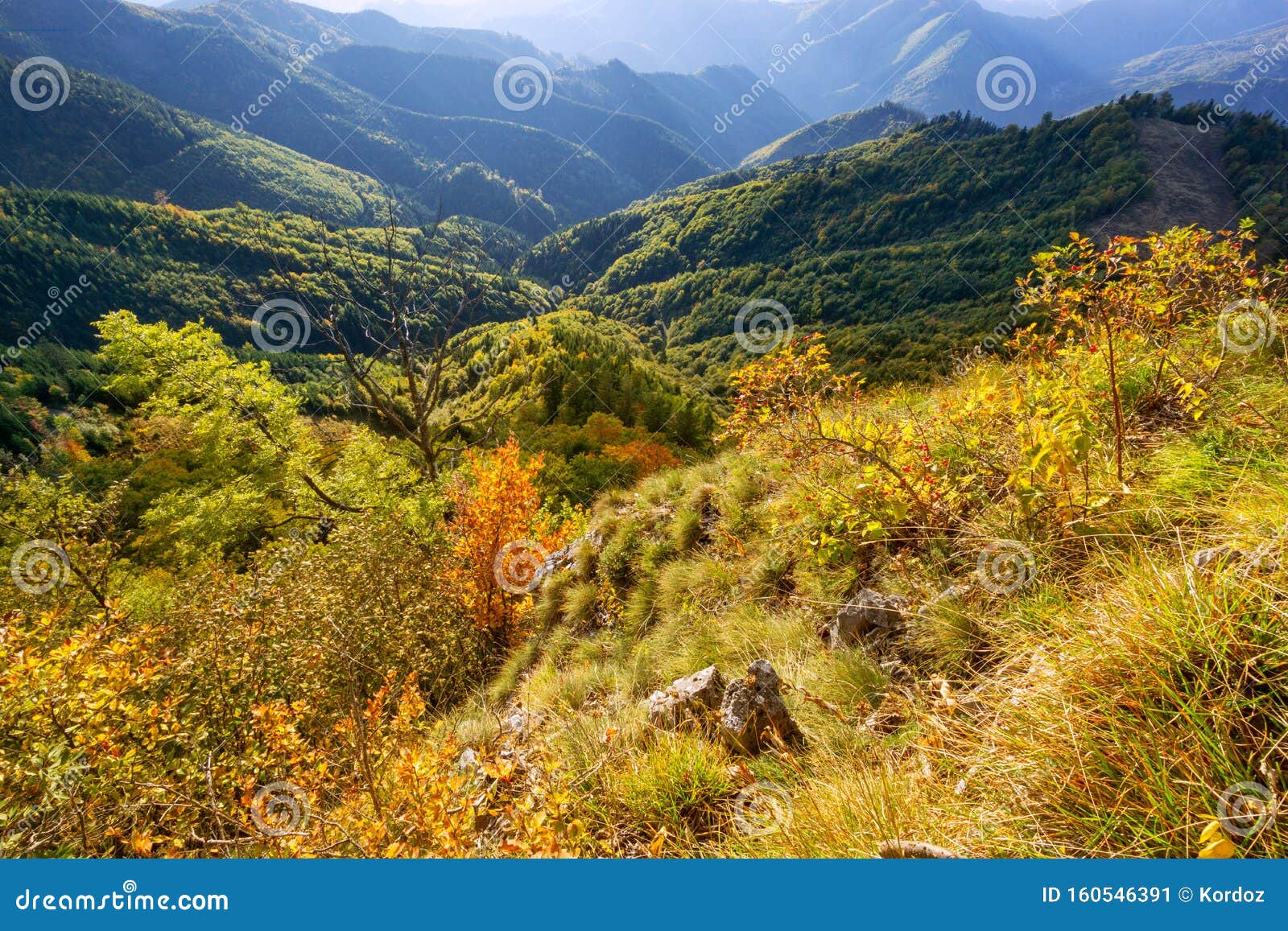 view at forests of starohorske vrchy at jelenska skala rock