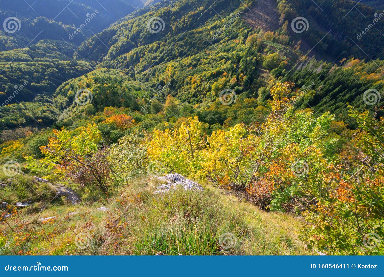 view at forests of starohorske vrchy at jelenska skala rock