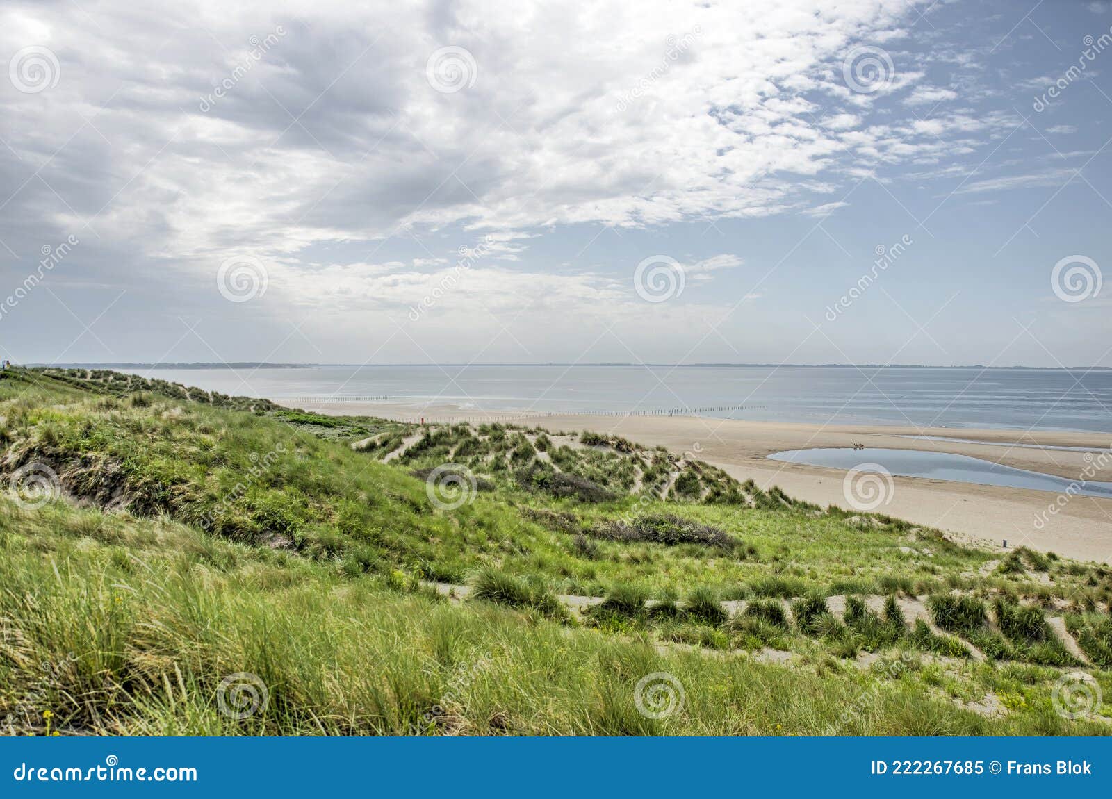 rotterdam maasvlakte beach
