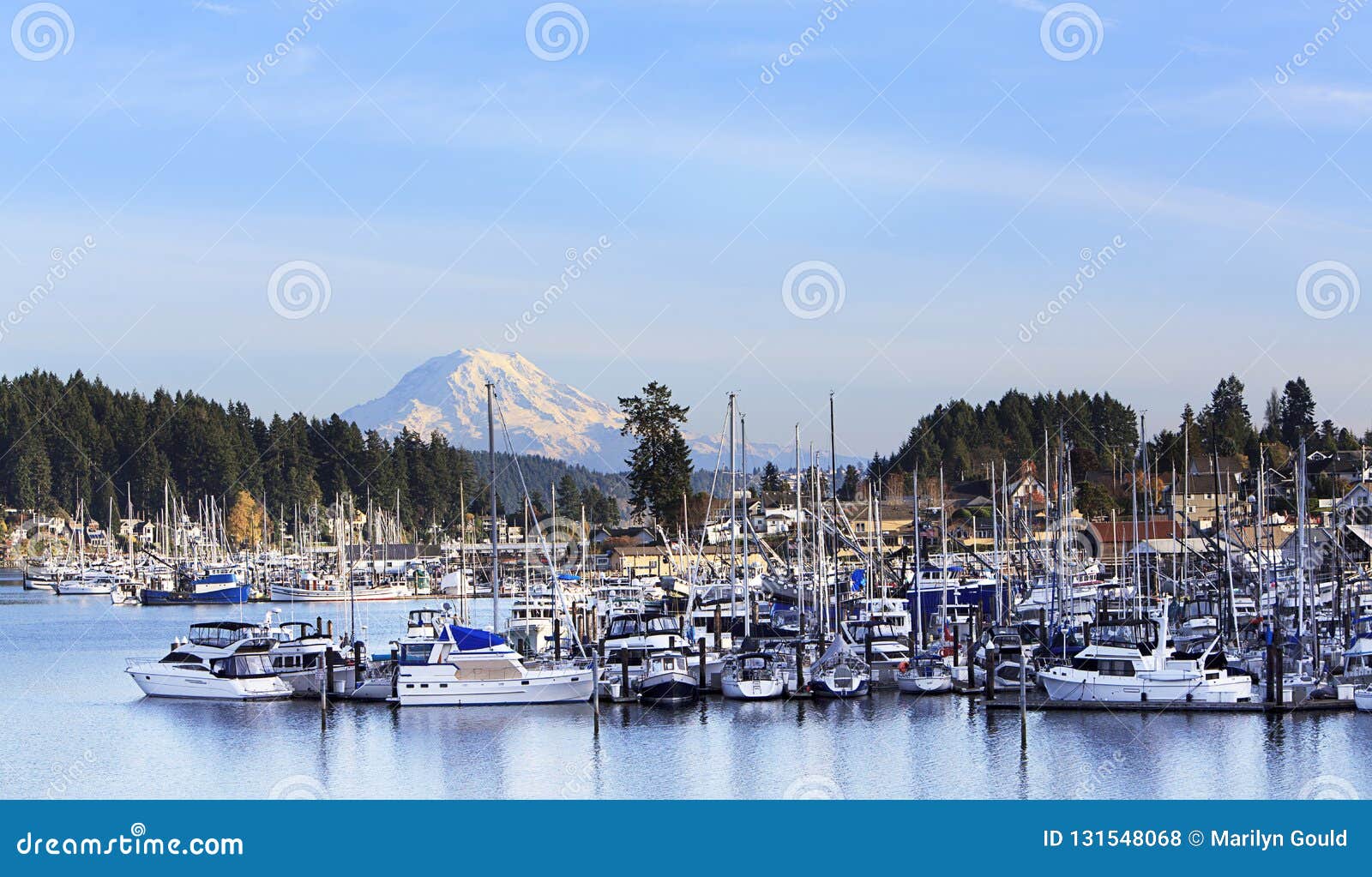 gig harbor washington state mt. rainier