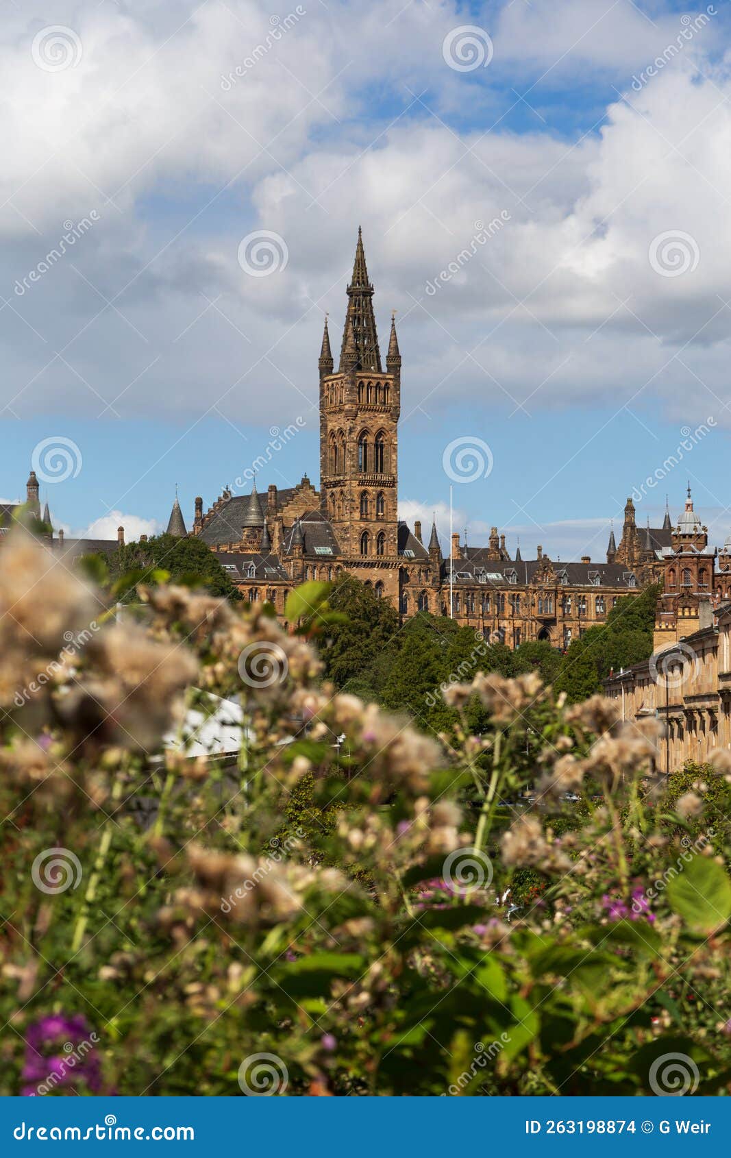 Views of Glasgow University on a Summer S Day Stock Photo Image of university, flower 263198874