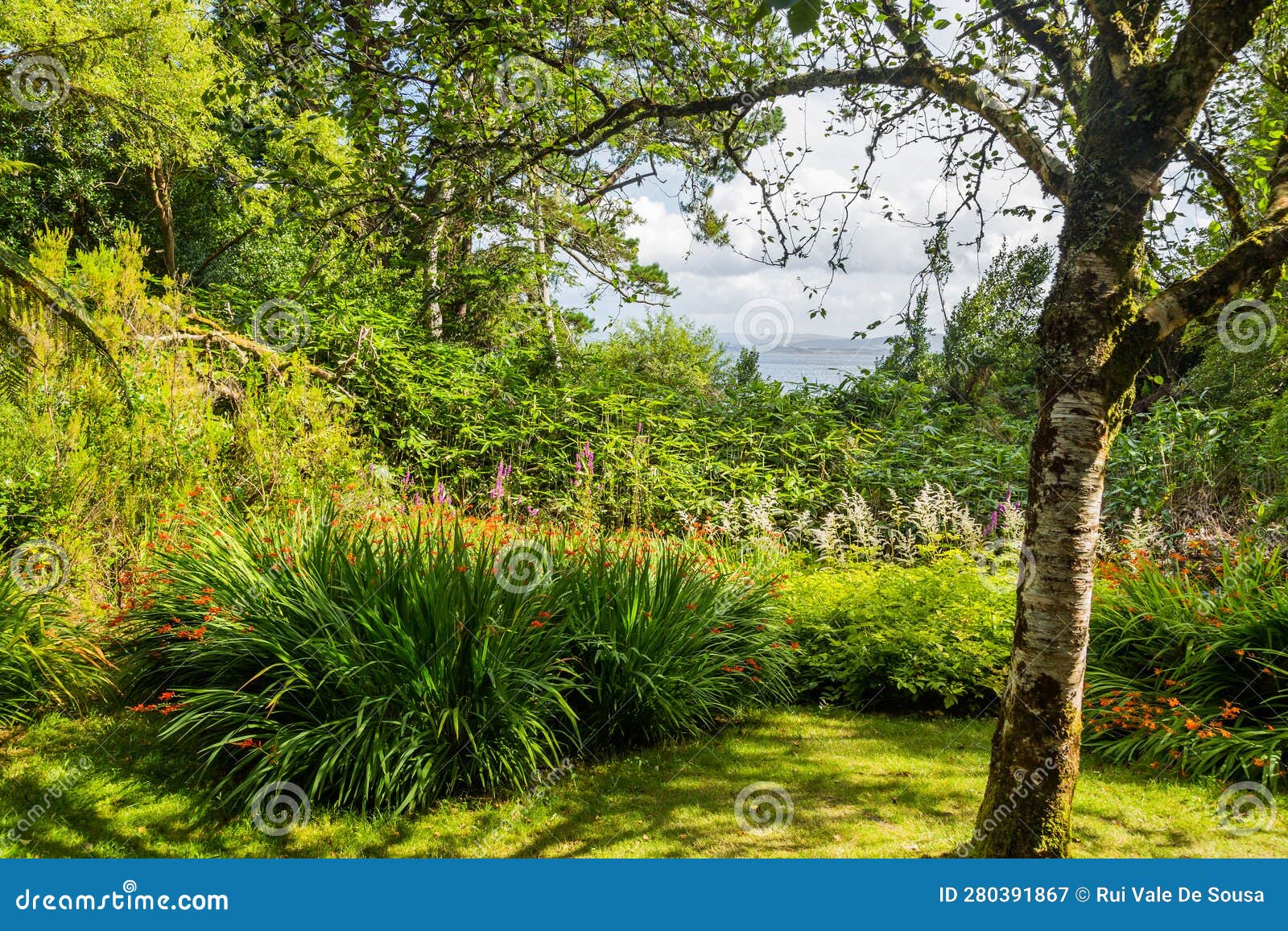 view from glengarriff guay to garinish