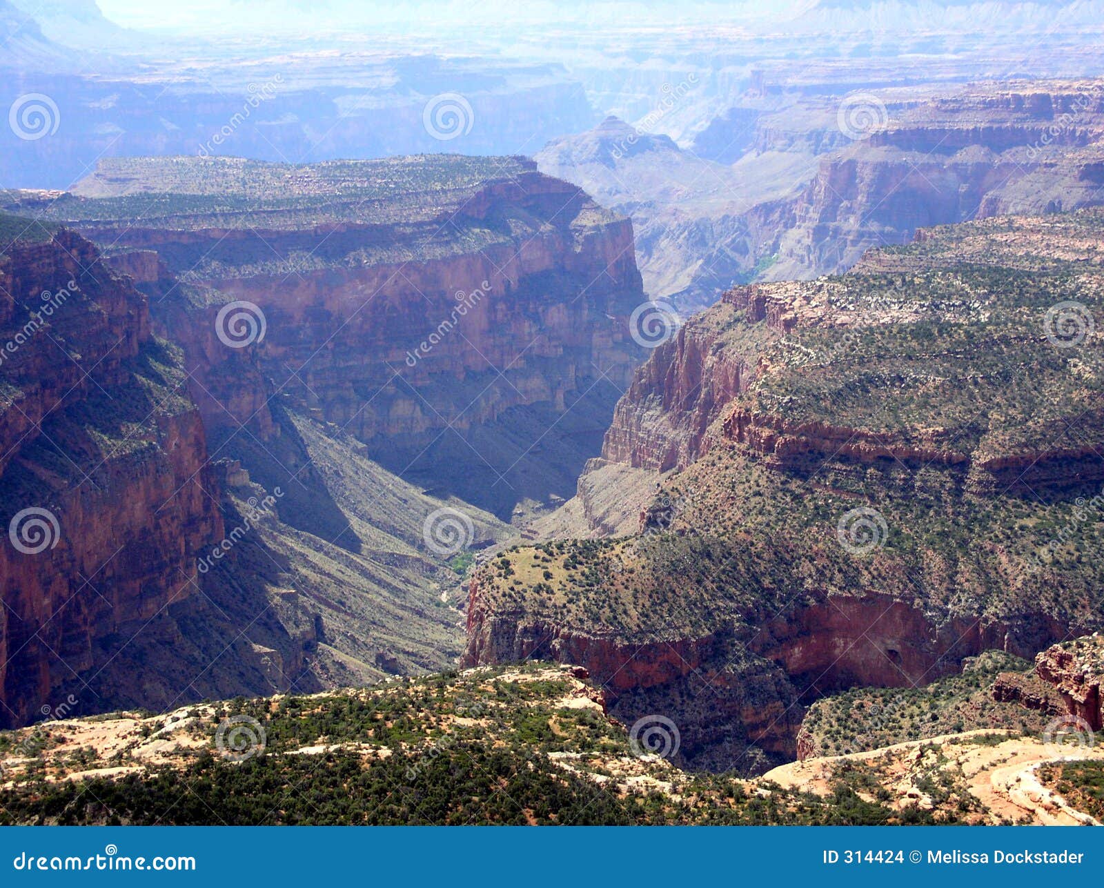 View of the Grand Canyon from Timp Point Stock Photo Image of