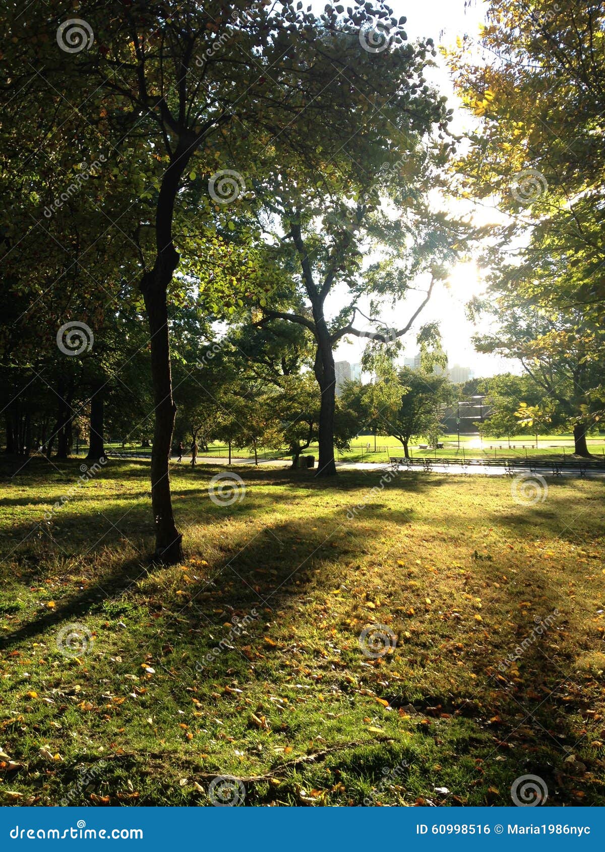 View of the Great Lawn during Sunset in the Fall in Central Park ...