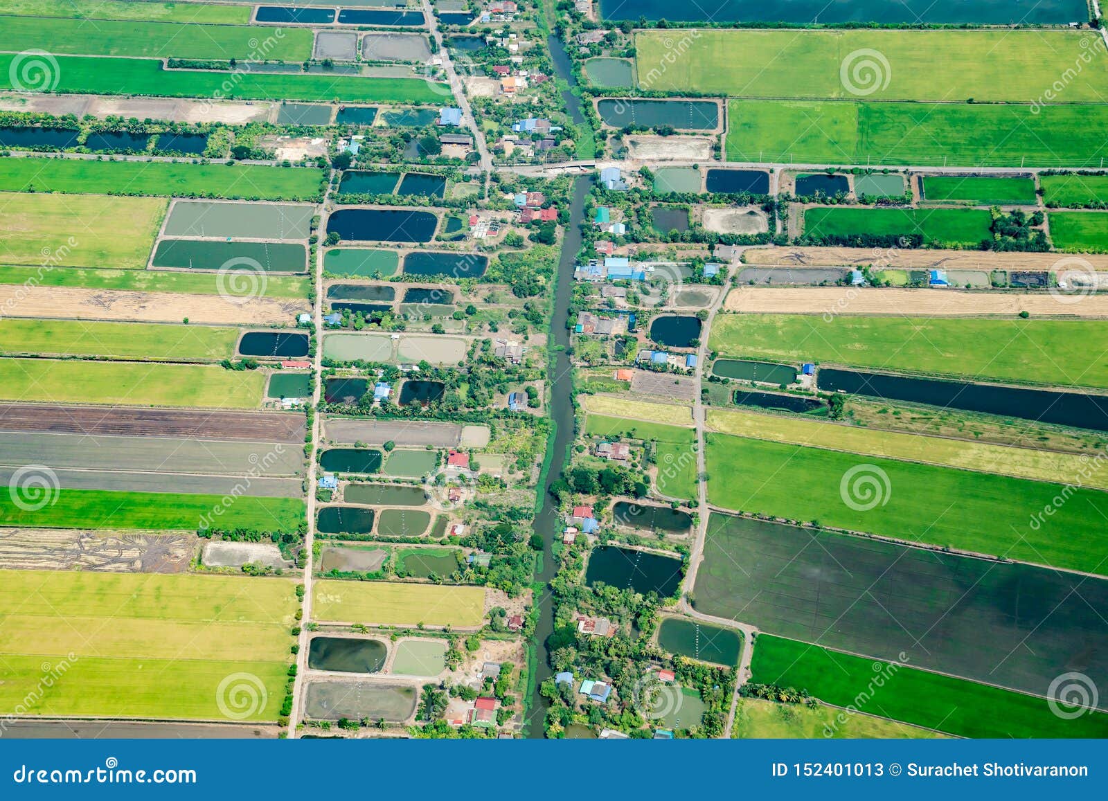 the view of green field and farm and city downtown in middle of thailand. it shot from jetplane