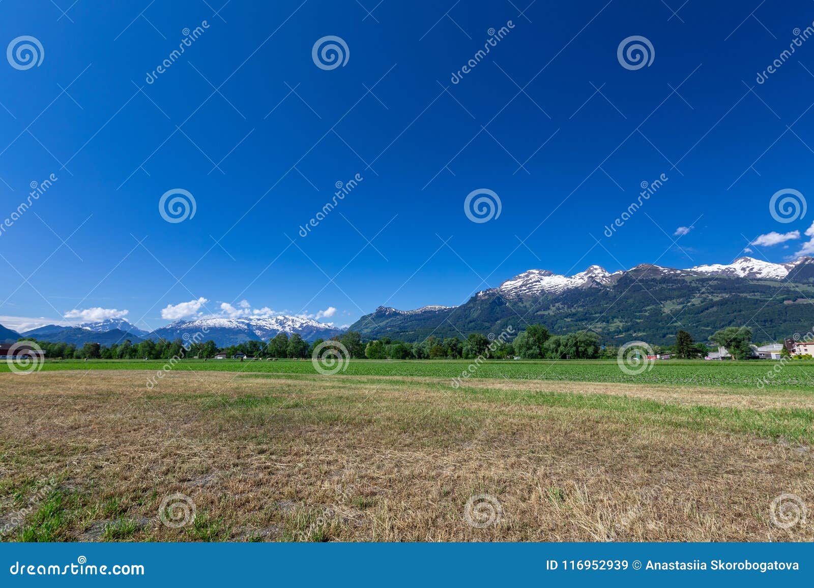 View of the Green Field and Mountains of the Alps in Liechtenstein ...