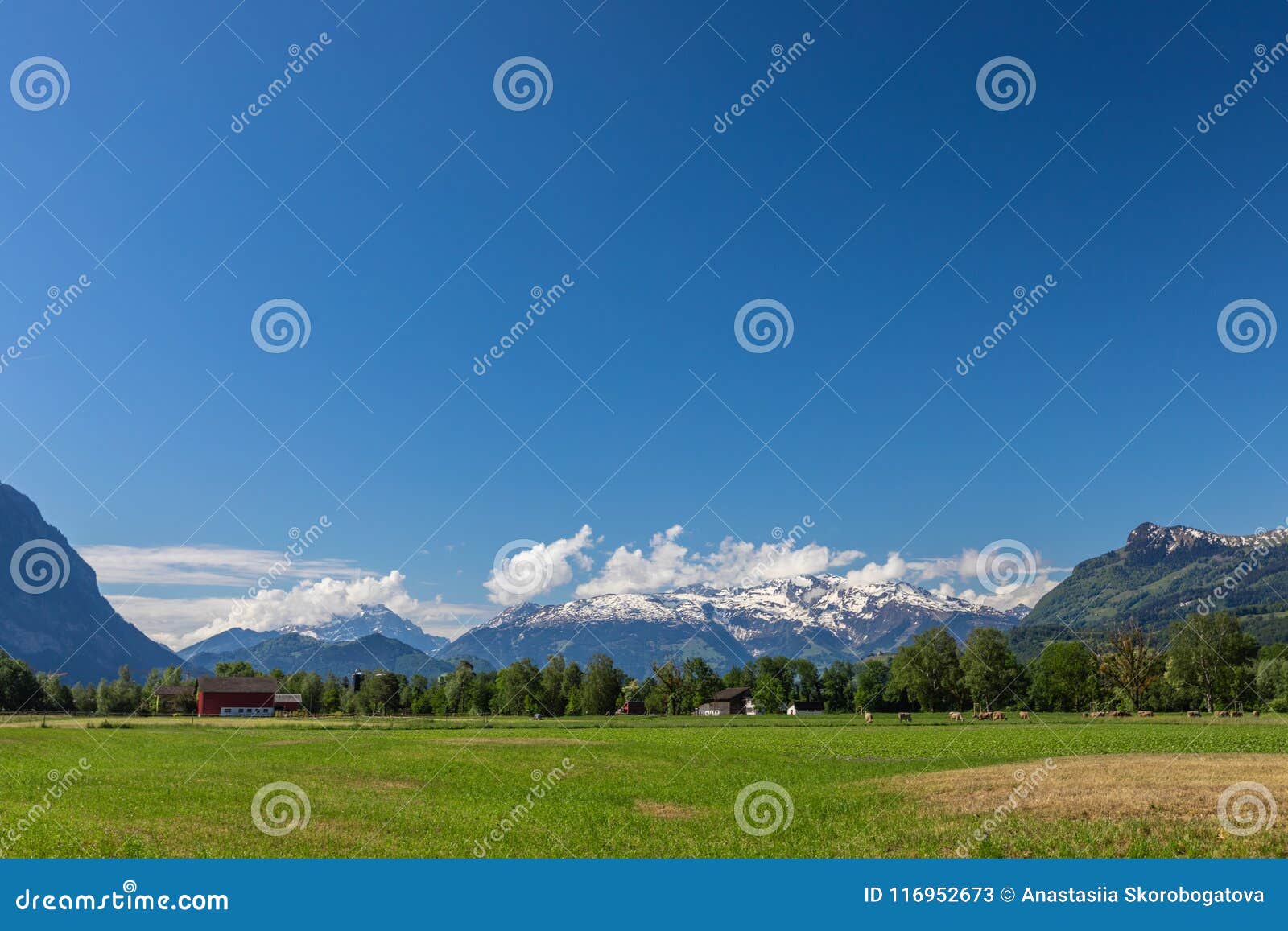 View of the Green Field and Mountains of the Alps in Liechtenstein ...