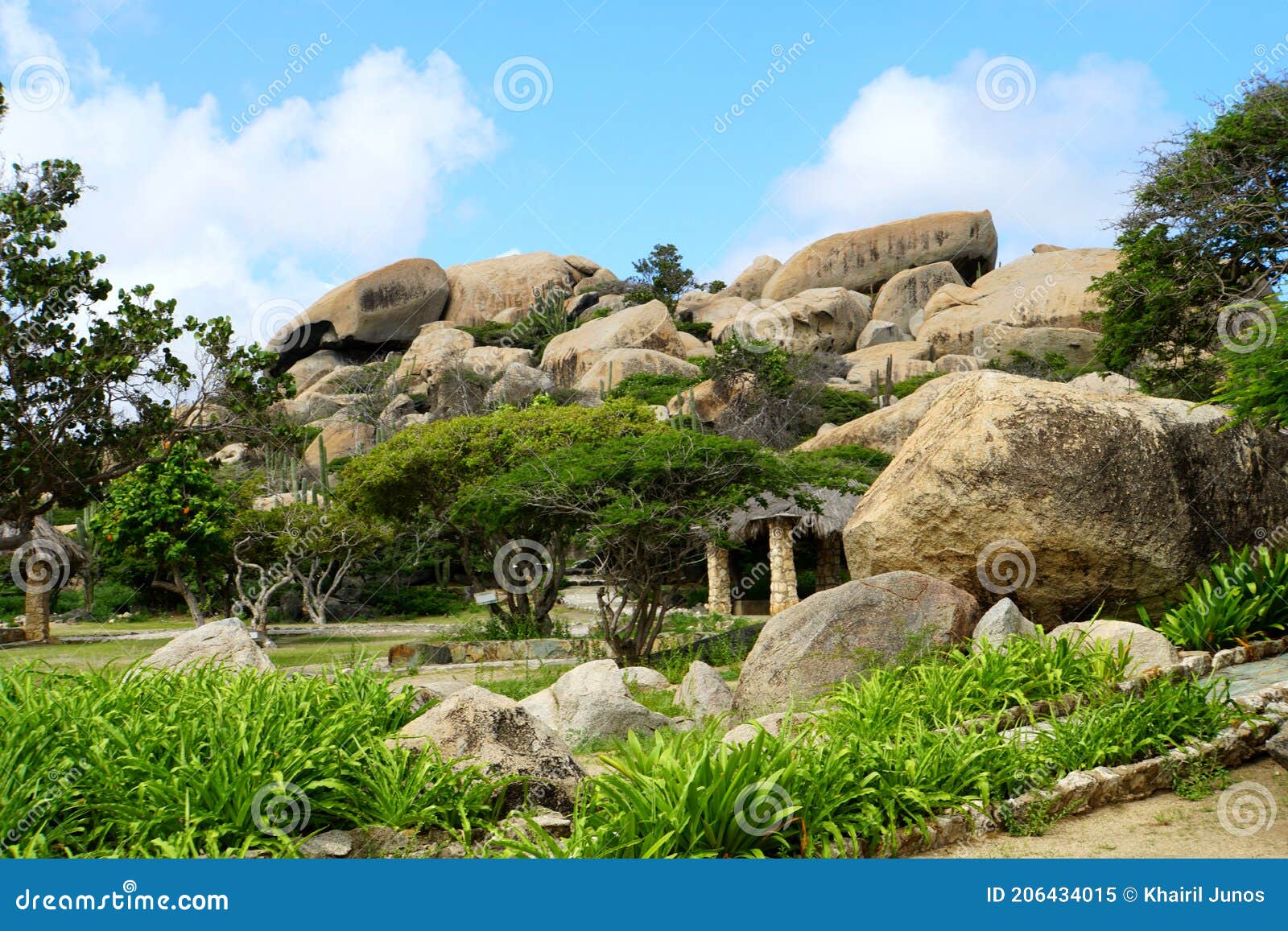 green trees and large stones at ayo rock formations in aruba