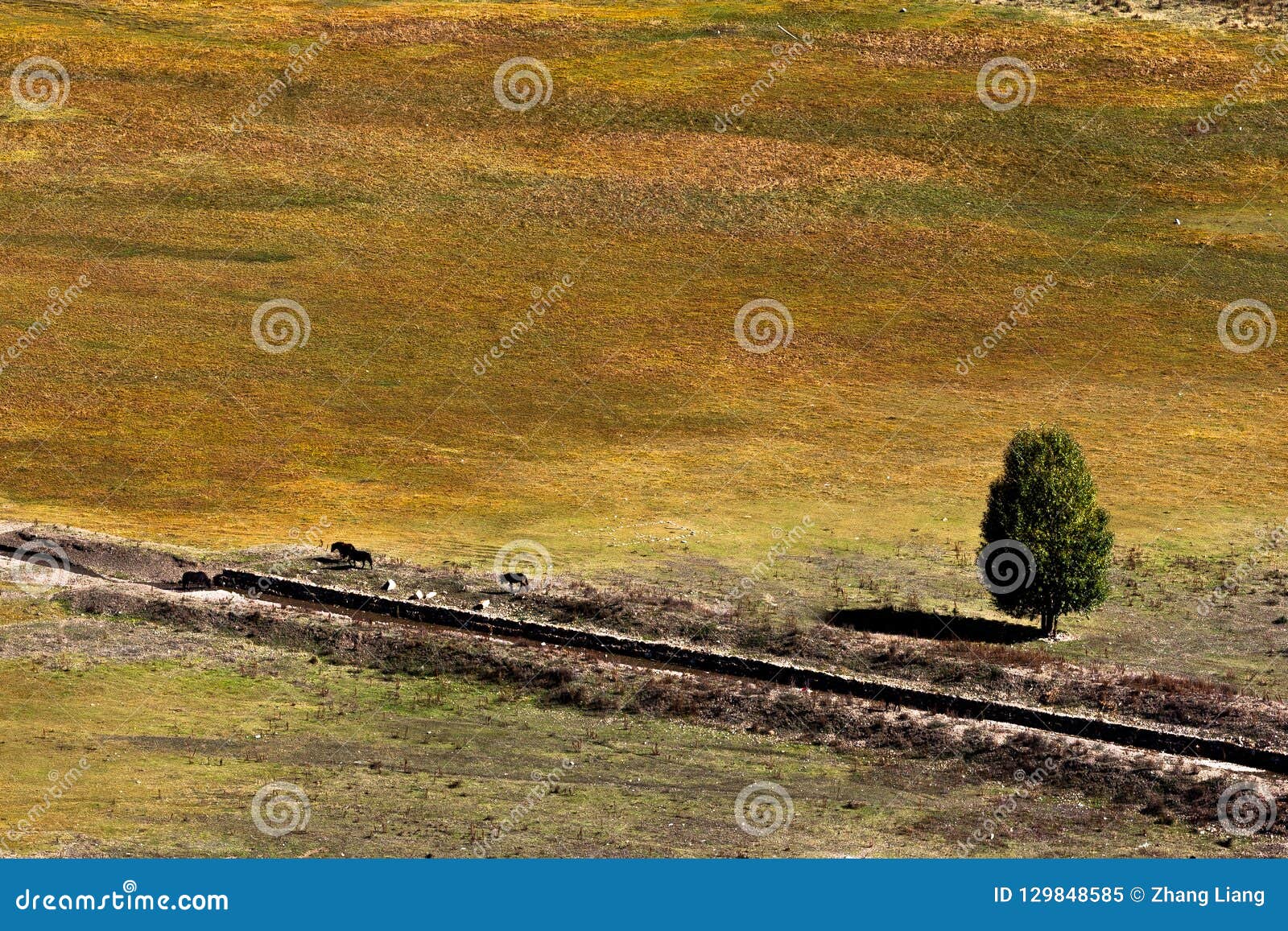 view in highland, sichuan, china