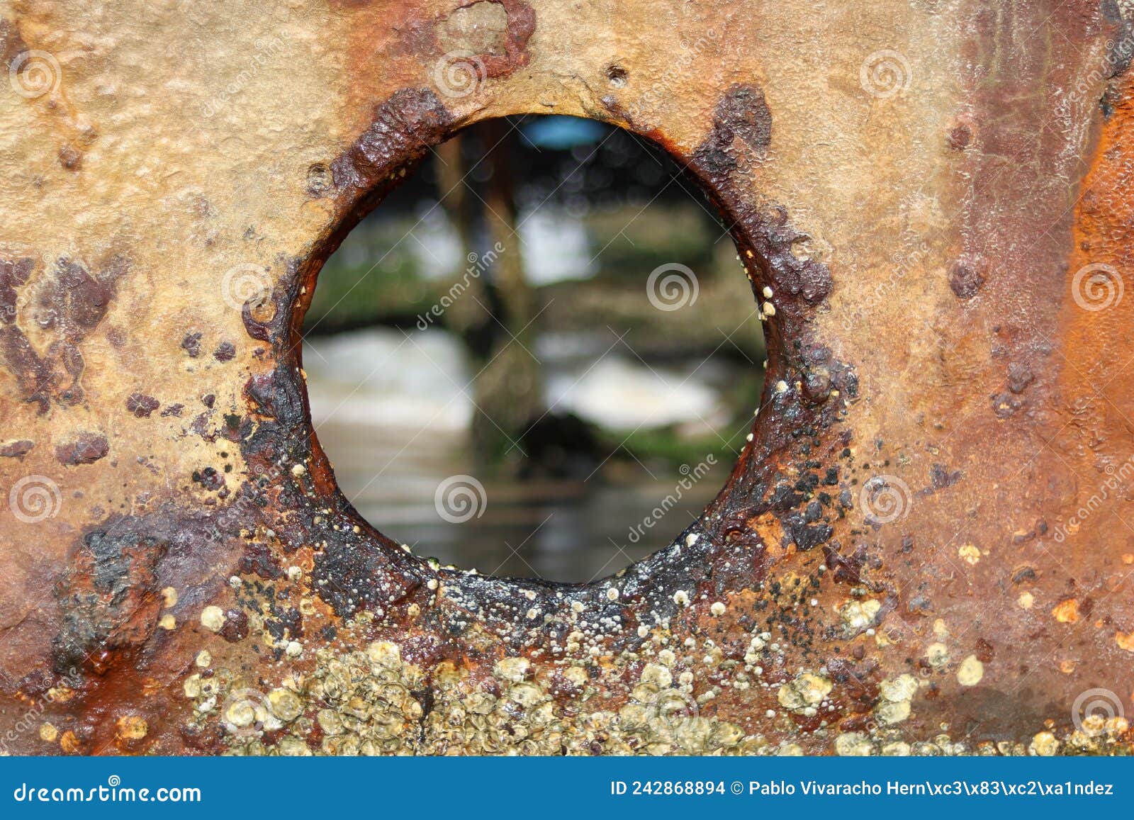 view through a hole in a rusted sunken ship in australia