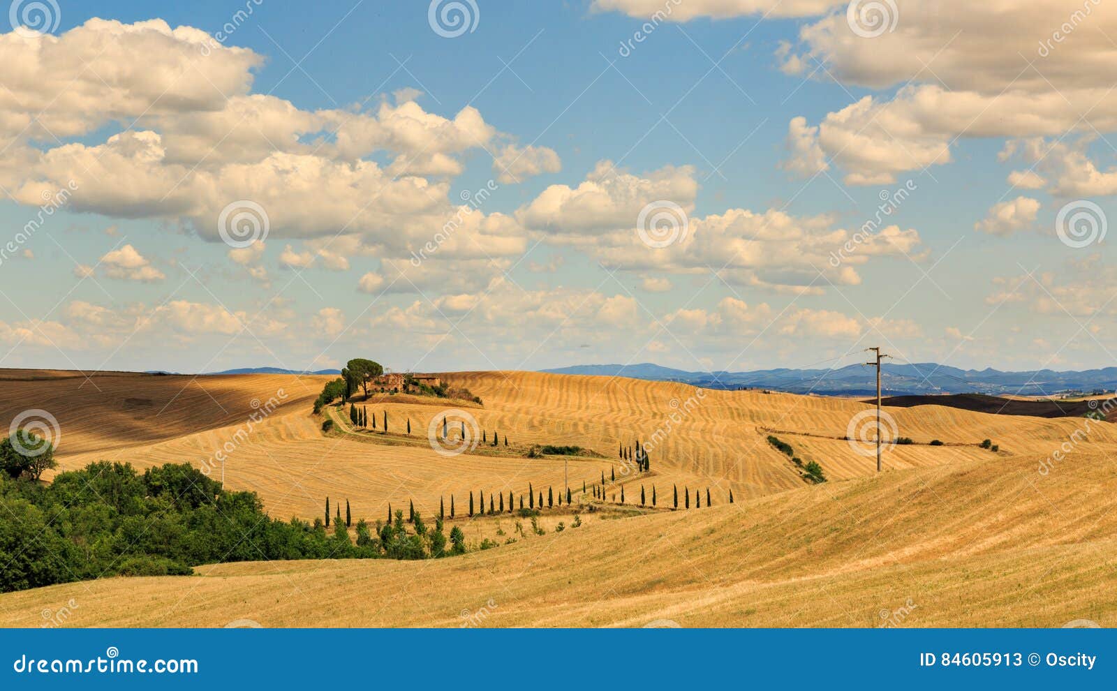 View of house with cypress trees in a field in the tuscan region. SAN QUIRICO D ORCIA, ITALY - JULY 16, 2016: View of a farm house in the tuscan region San Quirico d Orcia in Italy in July 16, 2016. This region is popular for its tuscan style photographic motives.