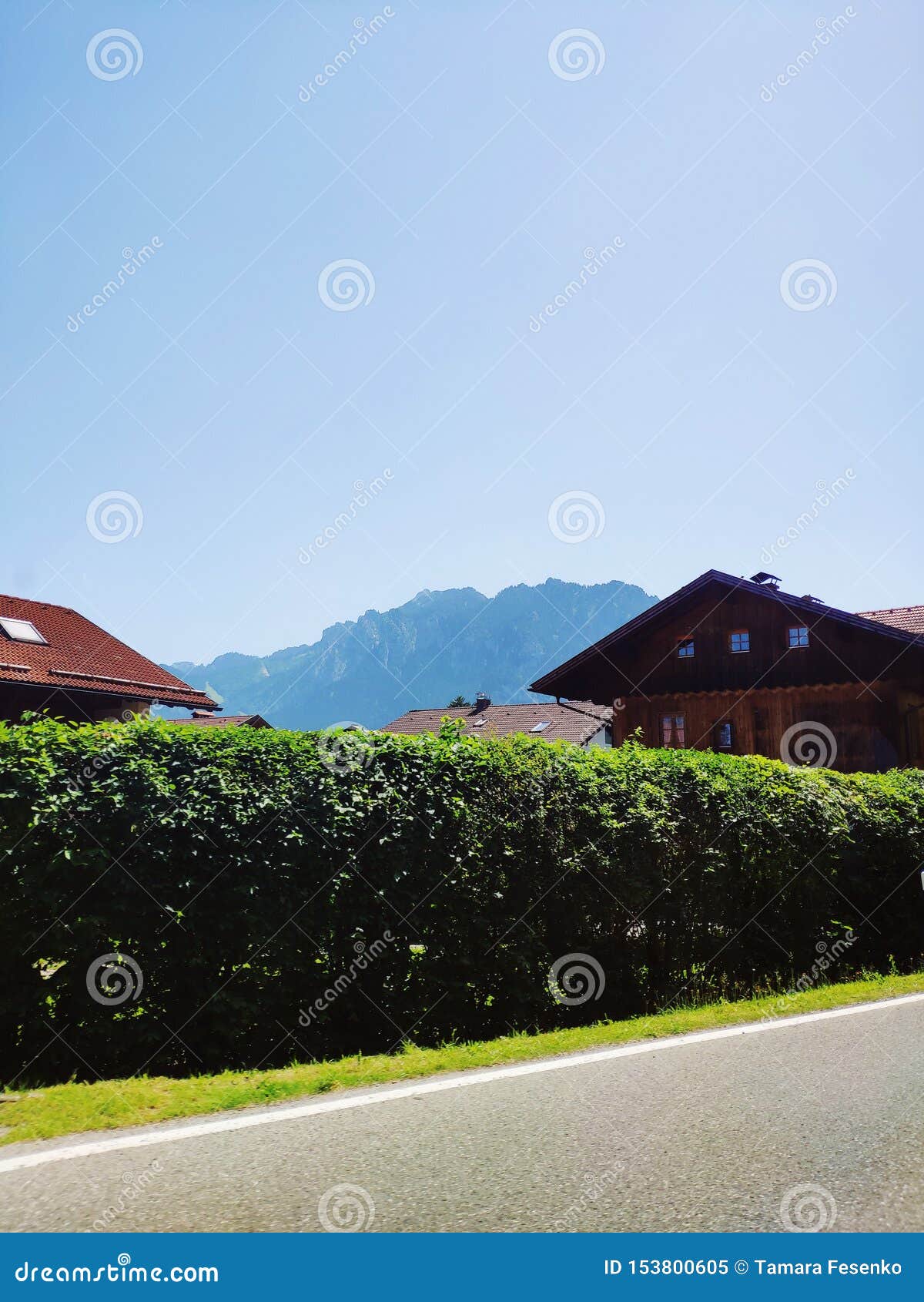 idyllic mountain scenery in the alps on a sunny day with houses and blue sky in summer