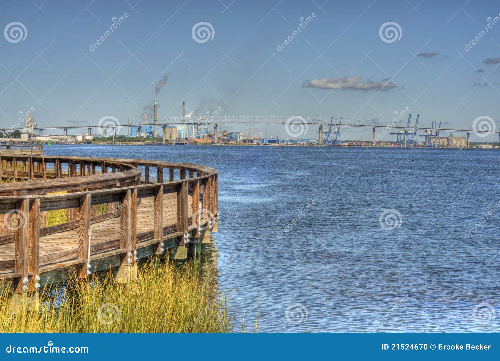 Riverfront Park With Benches And Tree Stock Photo