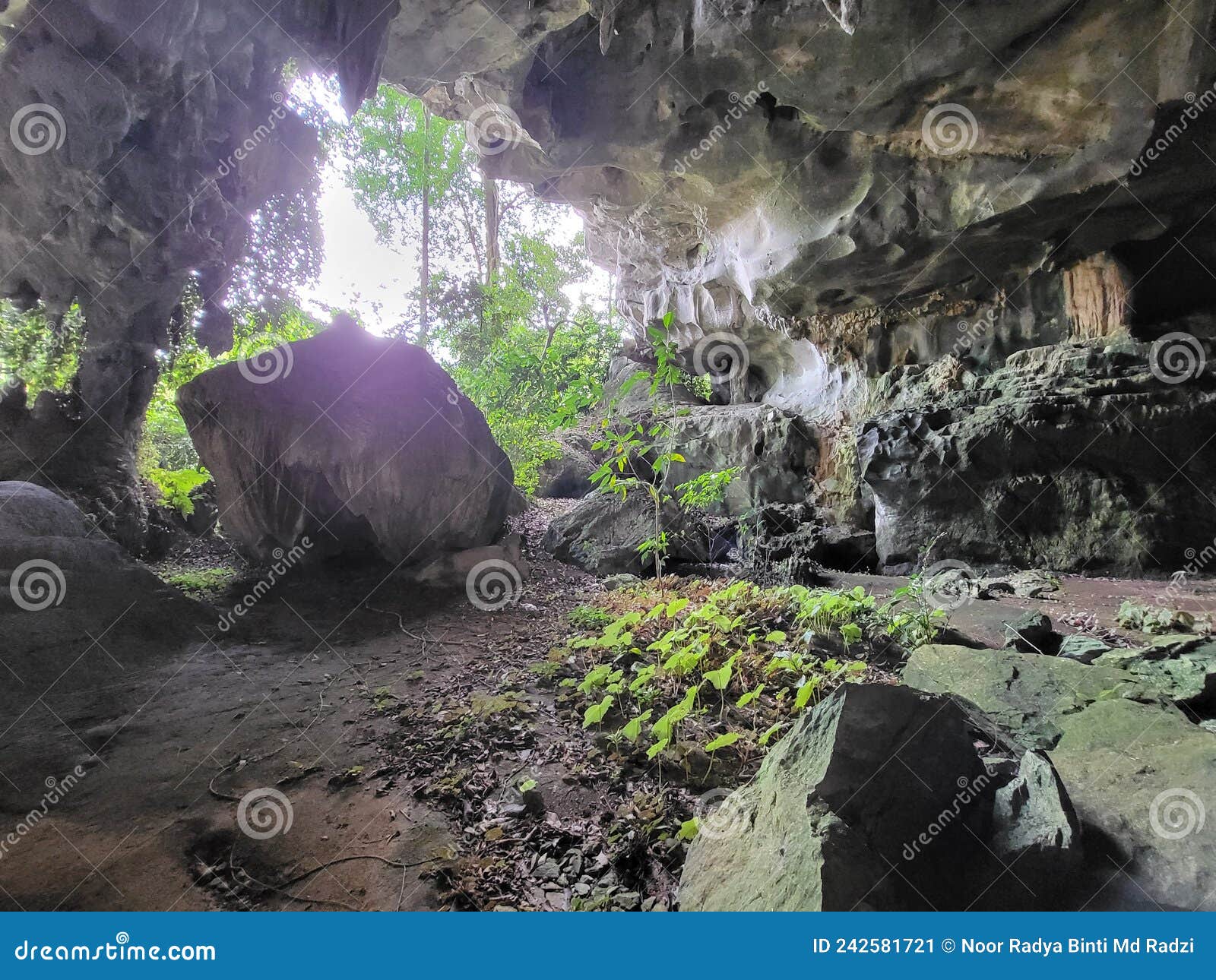 view inside gua pagar in dabong, kelantan, malaysia.