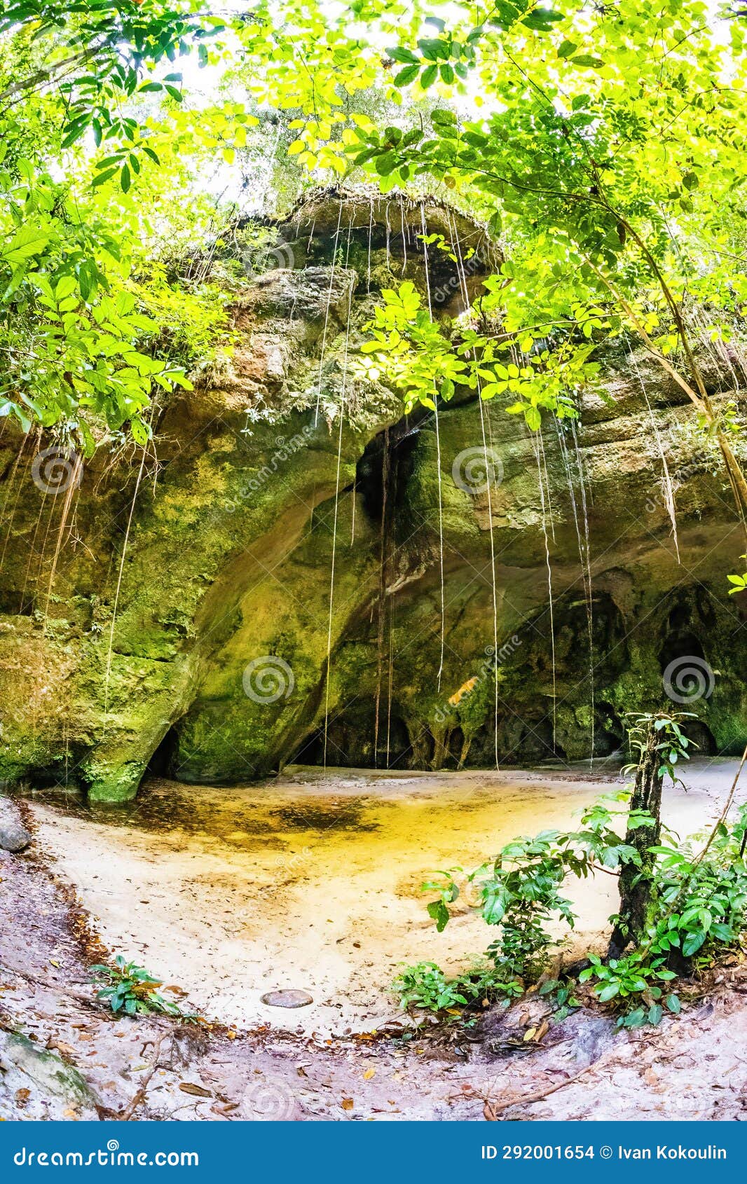 view of judea cave in jungle at presidente figueiredo brazil