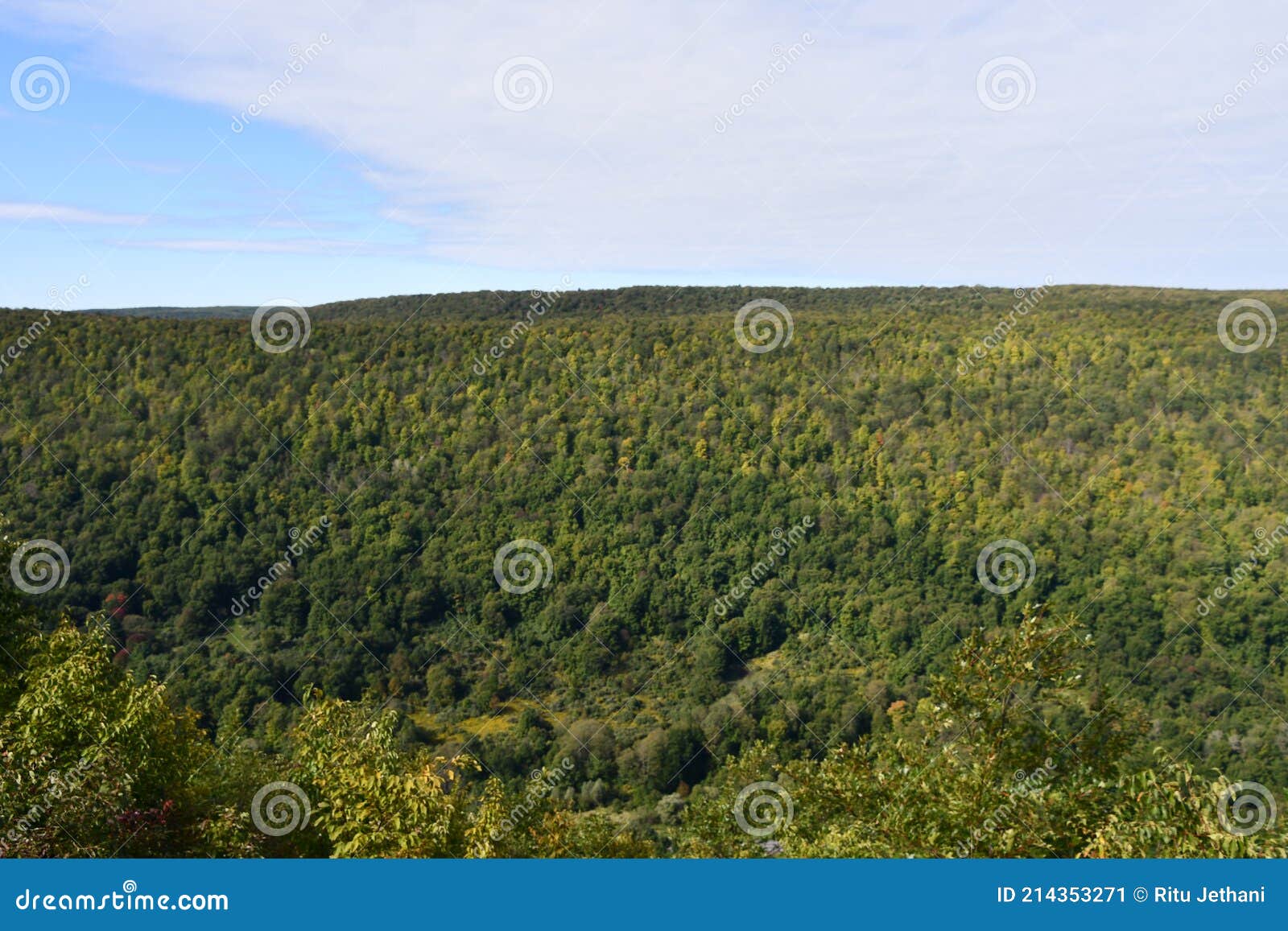 view from jump off scenic point at gannett hill in ontario county park in naples, new york