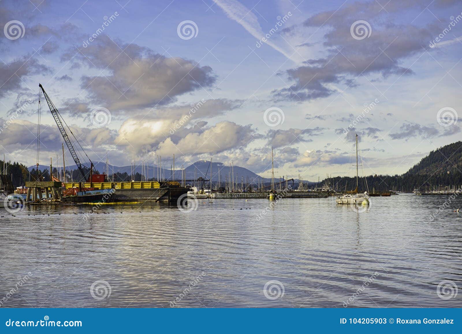view of ladysmith marina at sunset, taken in vancouver island, b