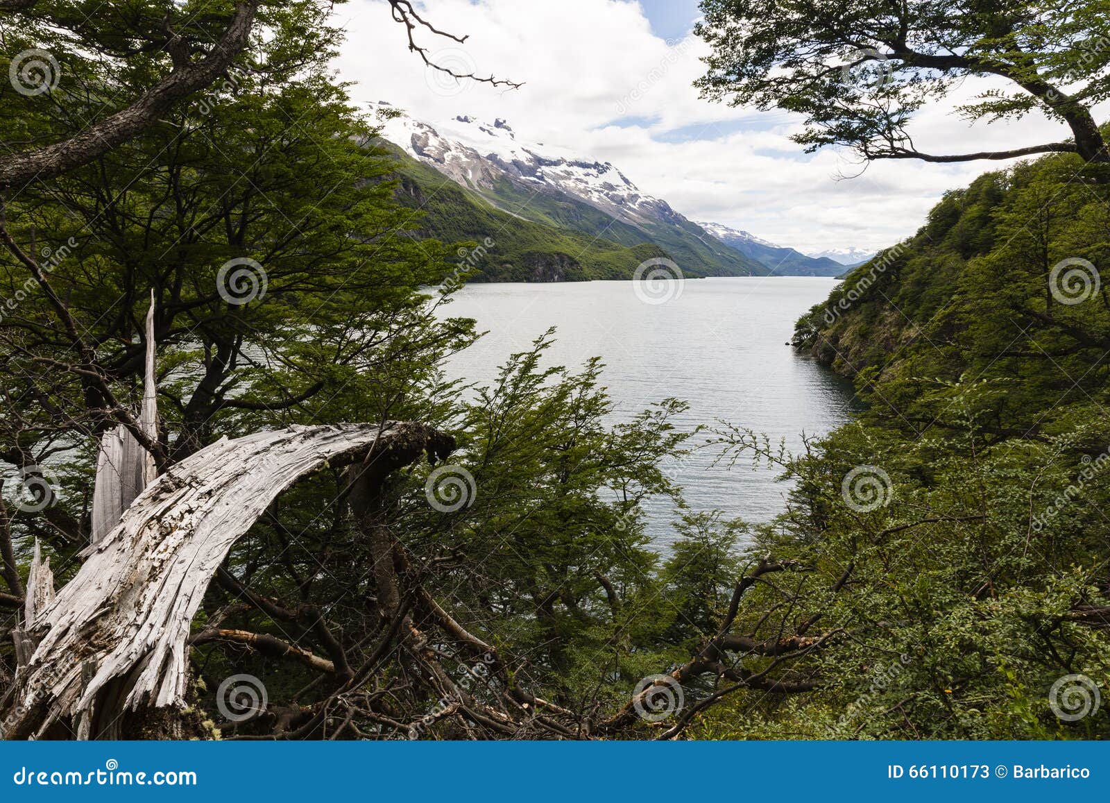 view of lake del desierto from the woods