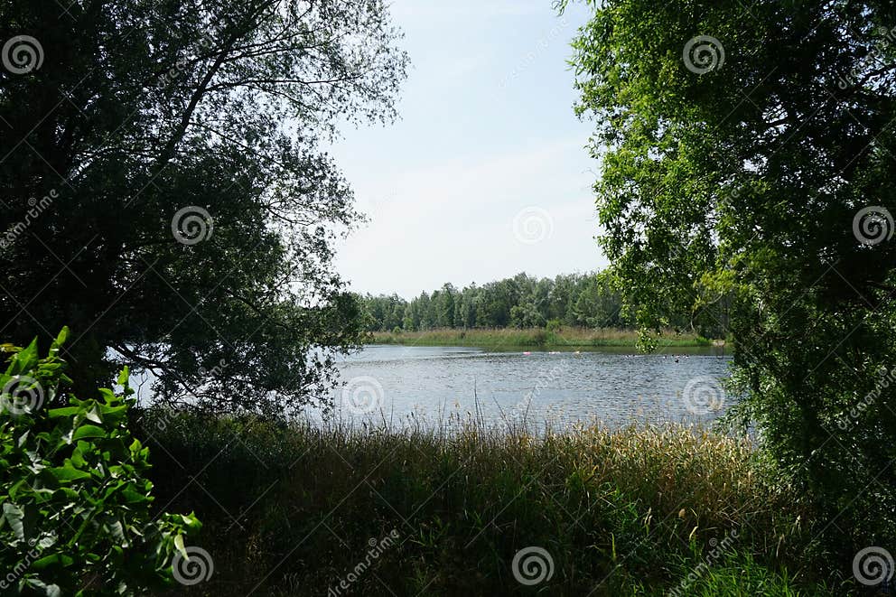 View of the Lake Habermannsee with Magnificent Vegetation in June