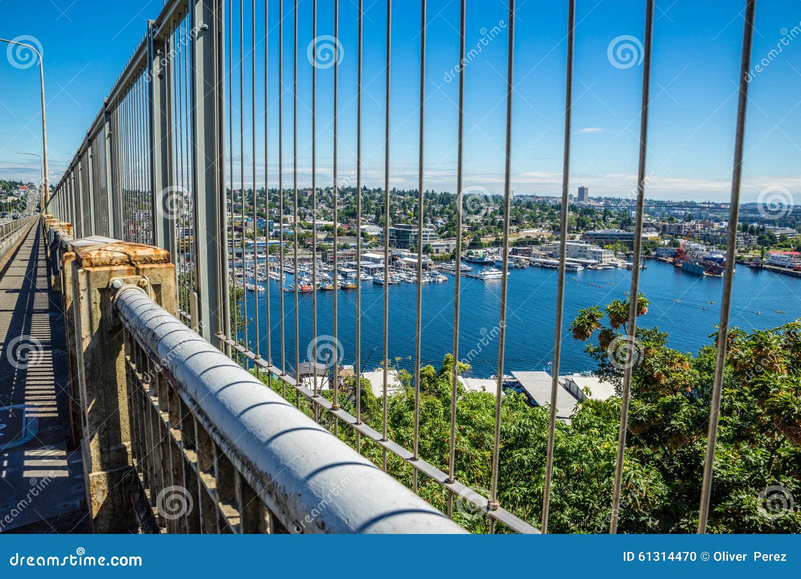 View of Lake Union from Aurora Bridge Editorial Image Image of trees