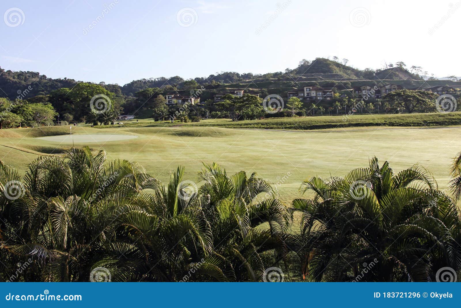 view of the landscape and vegetation of the settlement of los suenos