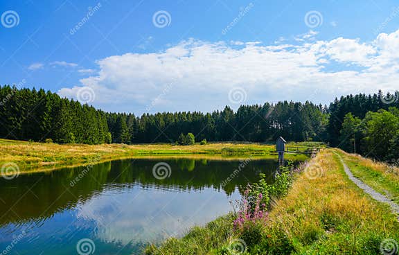 View of the Landscape at the Wasserläufer Teich Near Clausthal