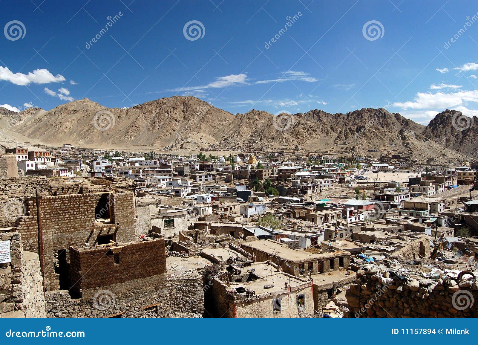 view on leh (ladakh)