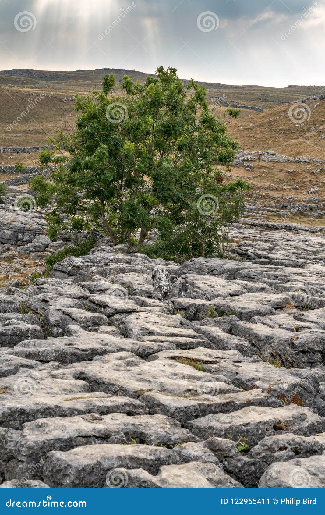 view of the limestone pavement above malham cove in the yorkshire dales national park