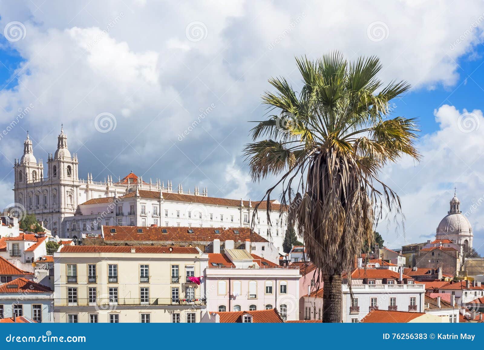 view of lisbon, portugal, with palm tree in the foreground
