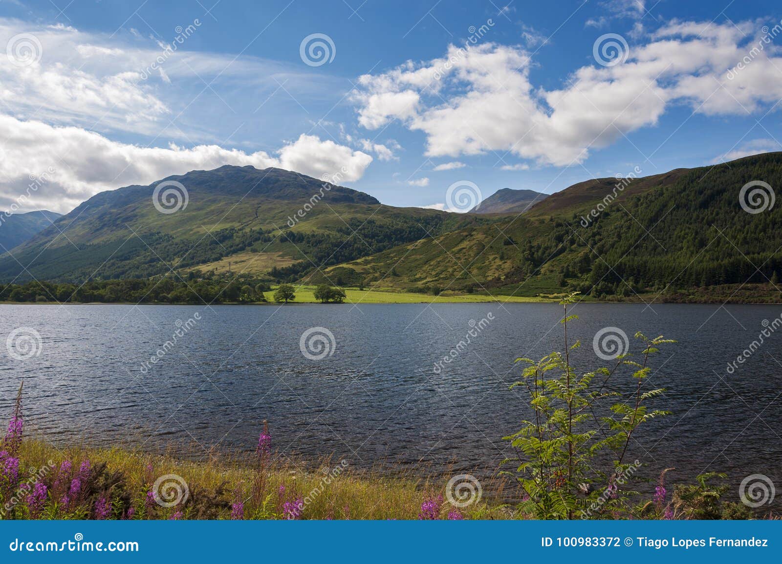 View of the Loch Ness, in Scotland, Stock Photo - Image of kingdom ...