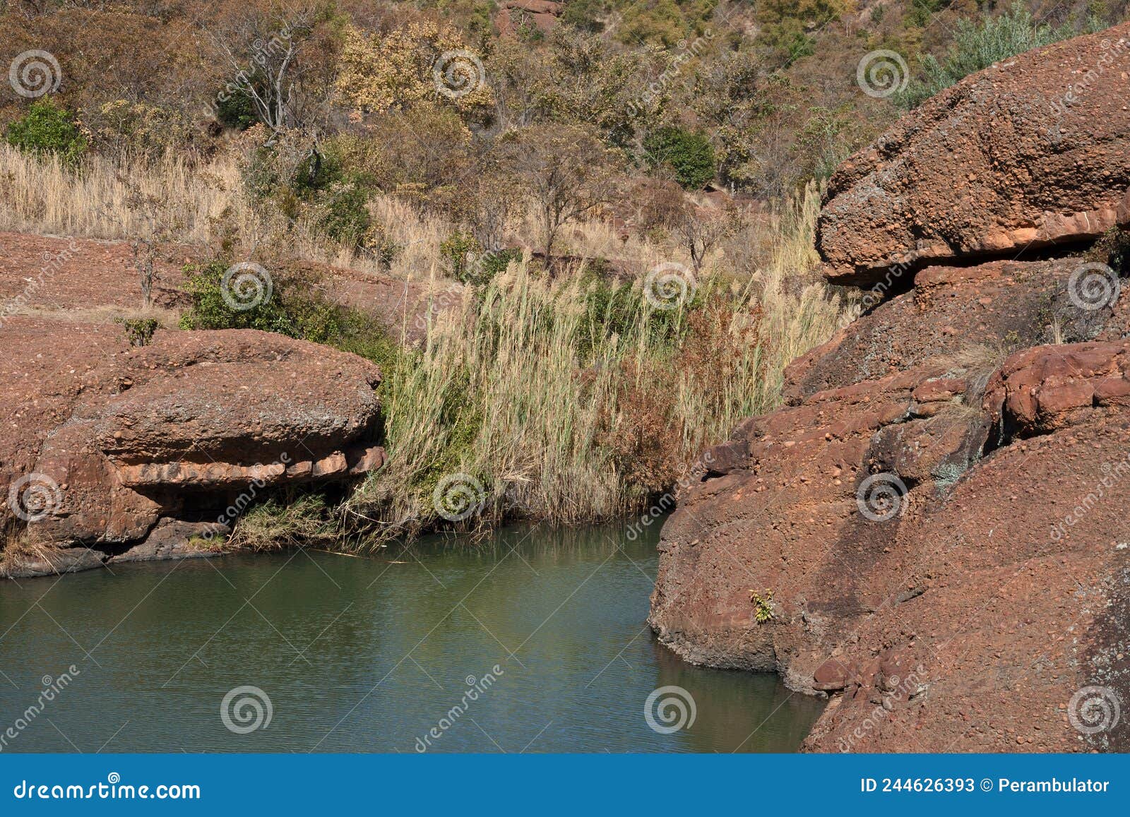 conglomerate boulders containing a rockpool in a river with long grass on the side