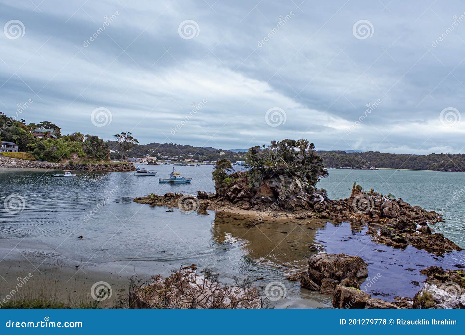 the view at lonneker beach of halfmoon bay in stewart island or rakiura, new zealand.