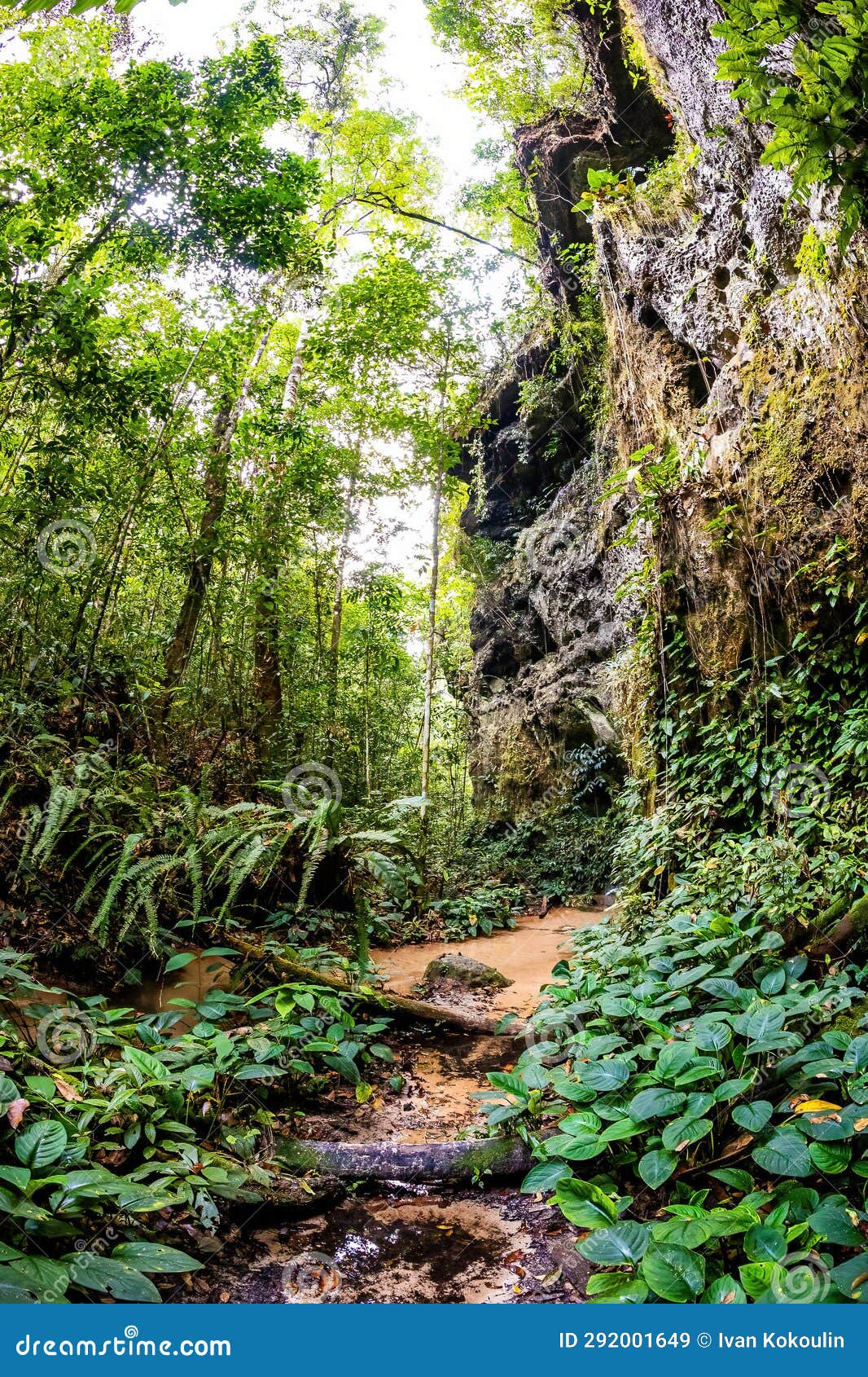 view of maroaga cave in jungle at presidente figueiredo brazil