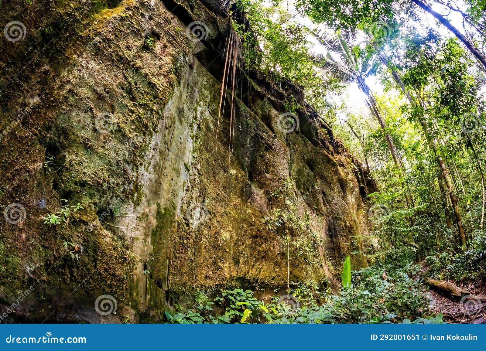 view of maroaga cave in jungle at presidente figueiredo brazil
