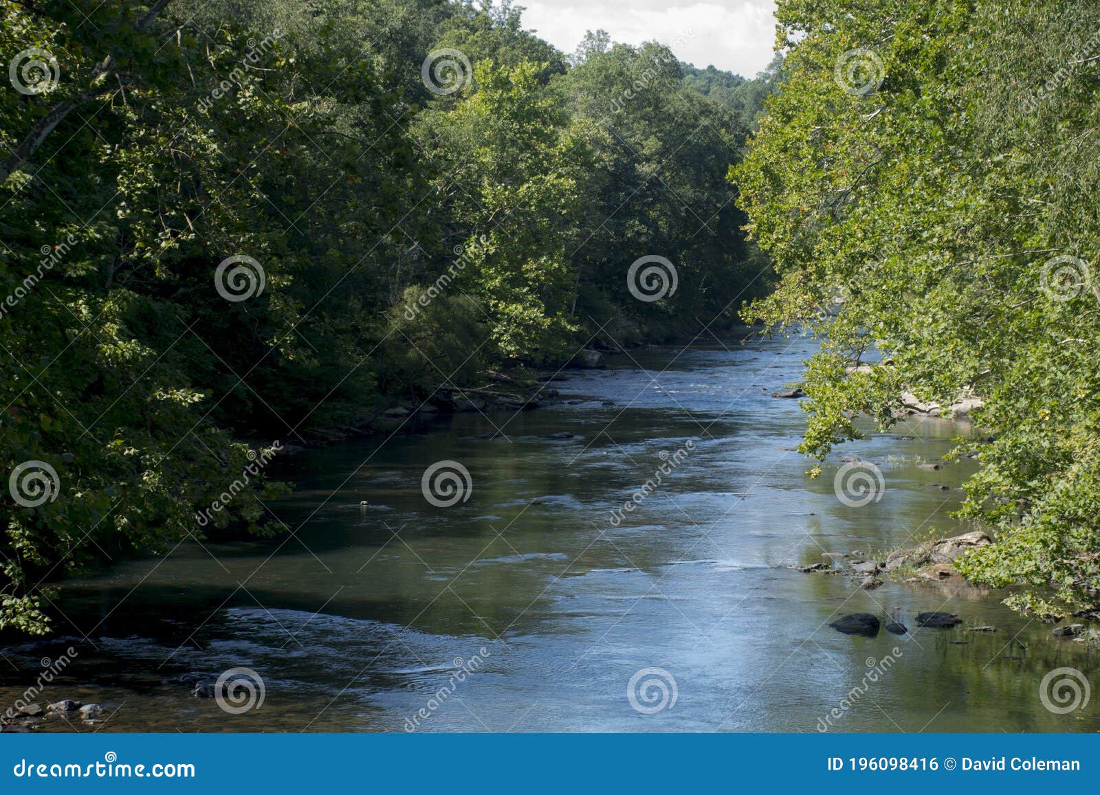 Scenic View of Middle Fork River Stock Photo Image of lined, river