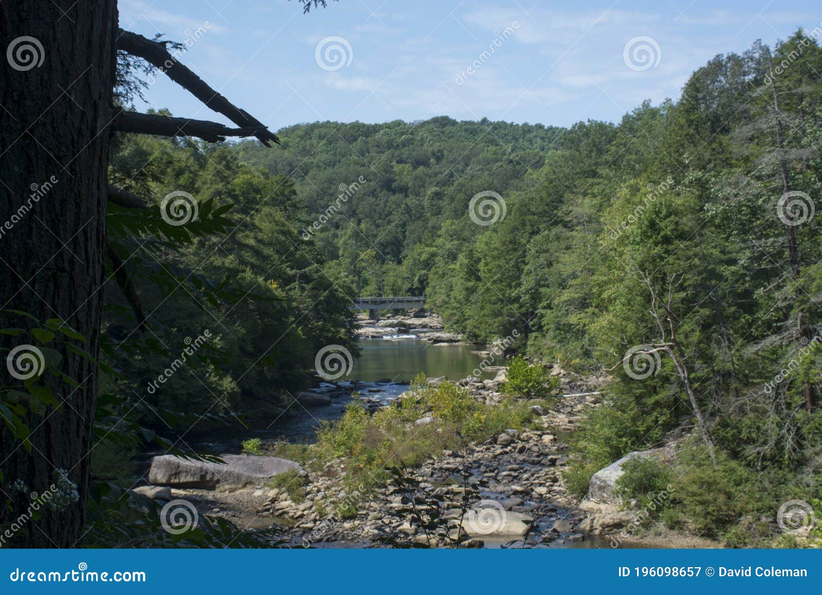 Scenic View of Middle Fork River Stock Image Image of country, rural